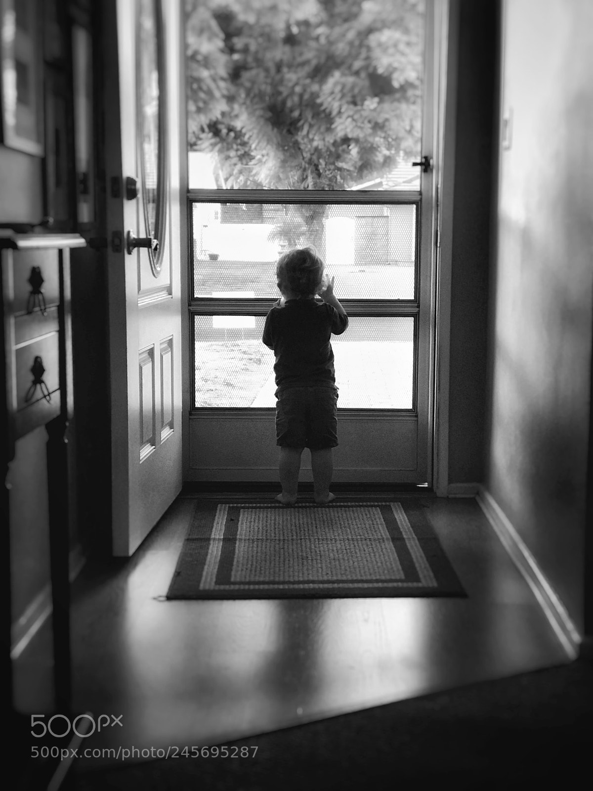 Apple iPhone 7 Plus sample photo. What is out there? photography