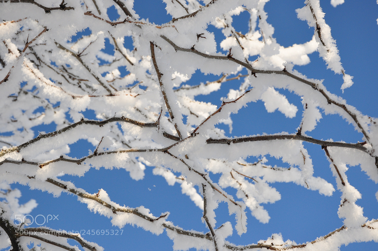 Nikon D90 sample photo. Wintertime photography