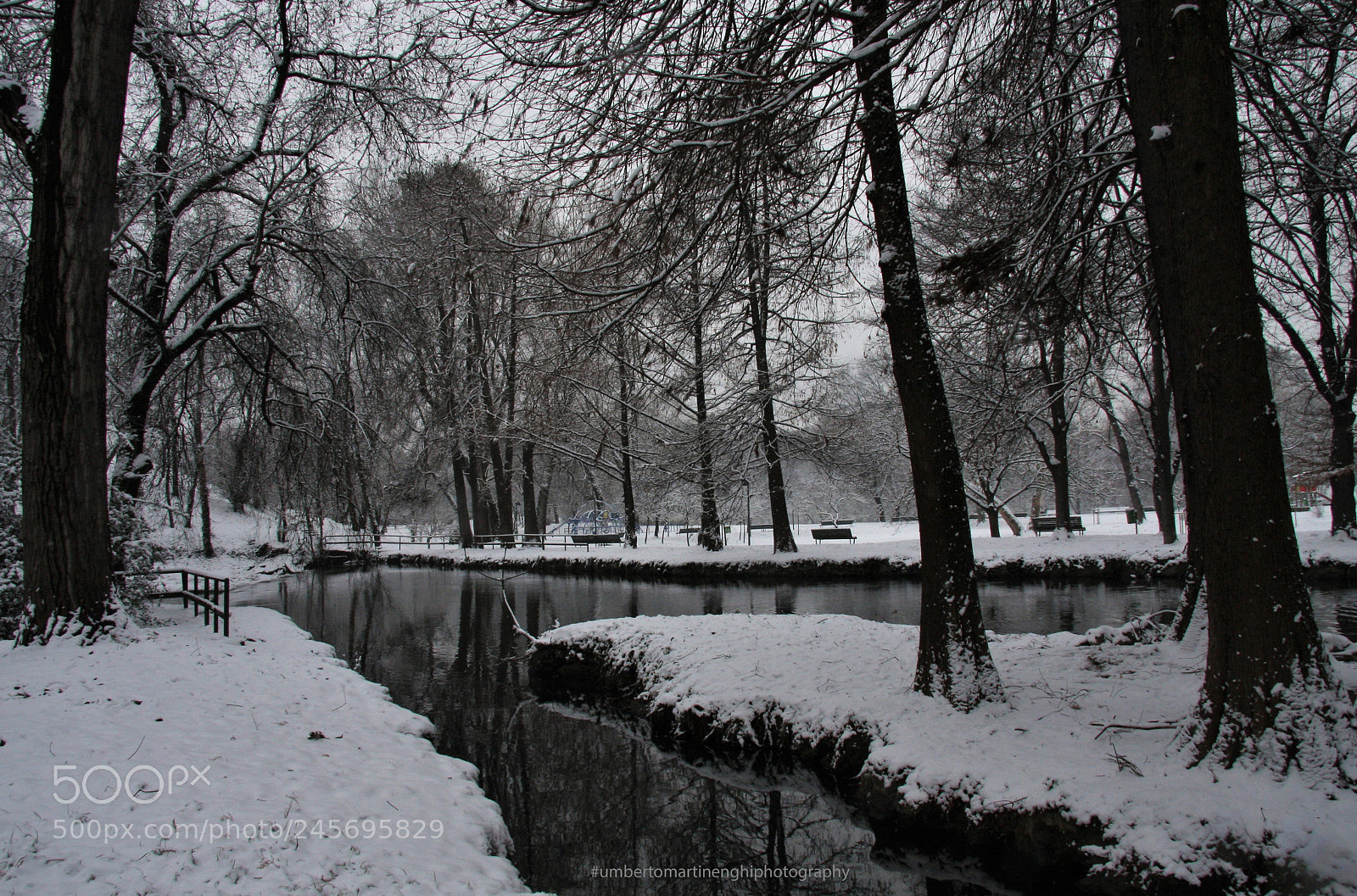 Canon EOS 40D sample photo. Parco lambro_milano photography