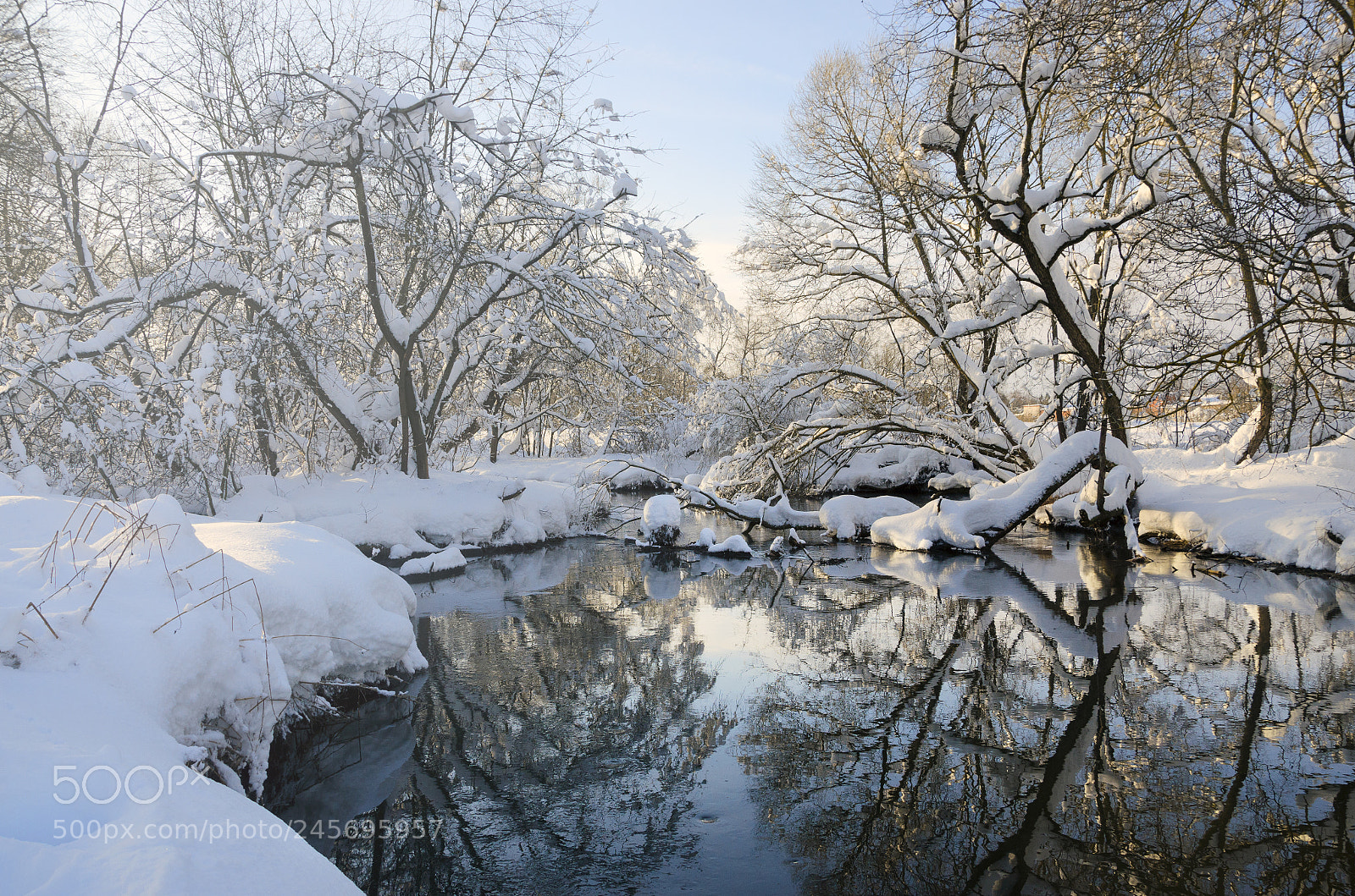 Nikon D5100 sample photo. Winter fairy tale photography