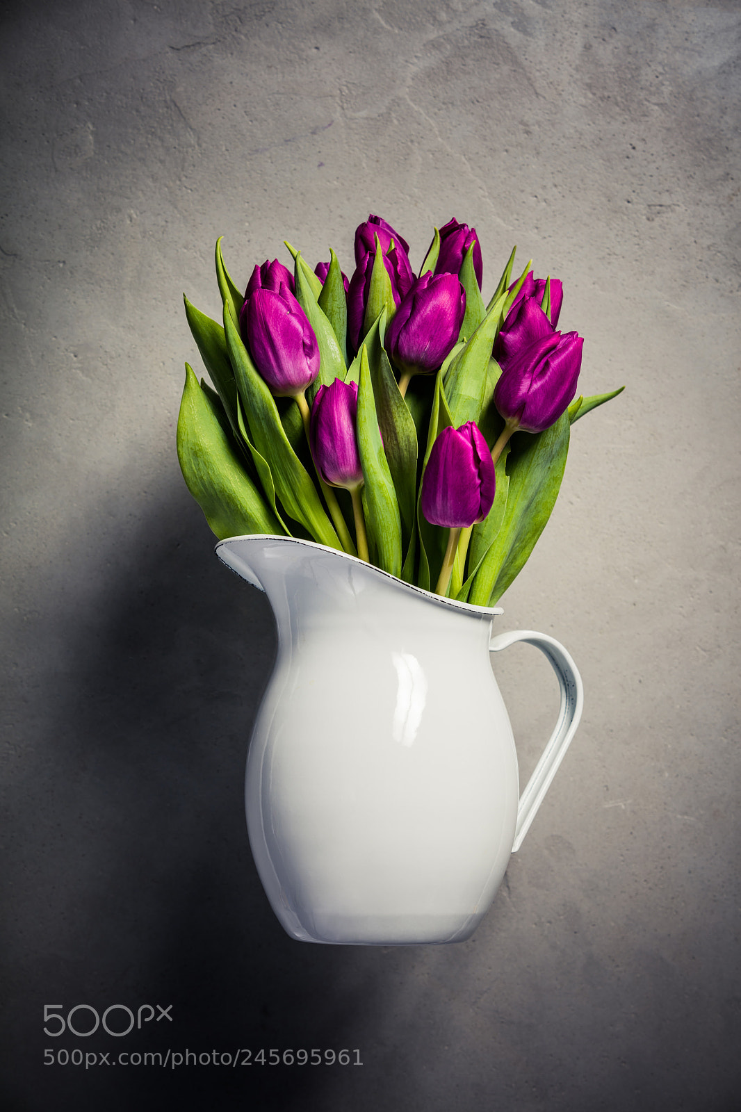 Canon EOS 5DS R sample photo. Levitating purple tulips photography