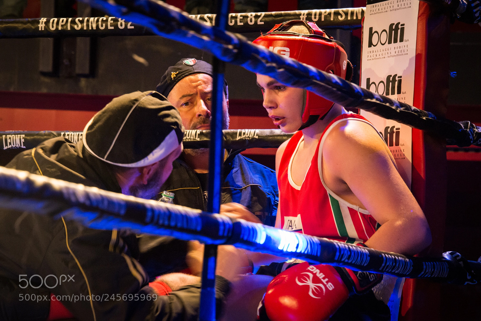 Nikon D600 sample photo. Boxer photography