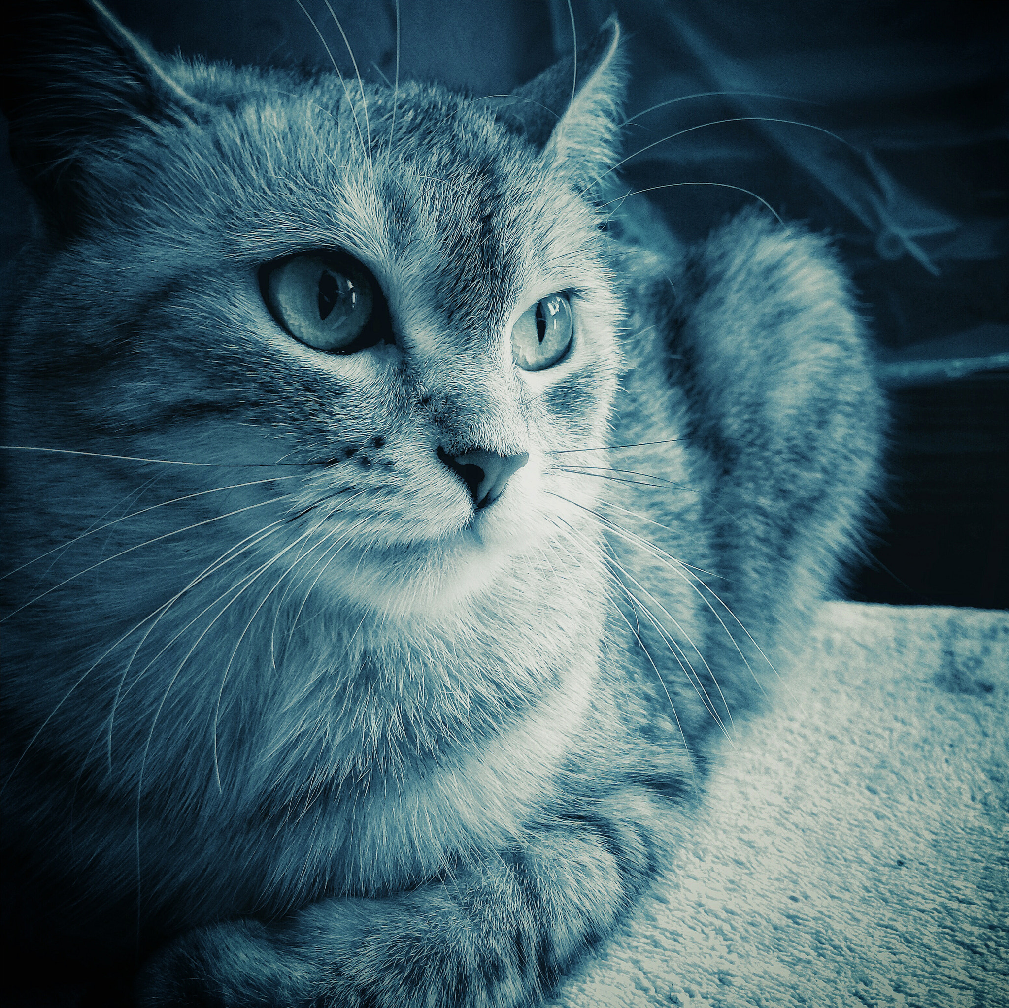 Meizu m1 note sample photo