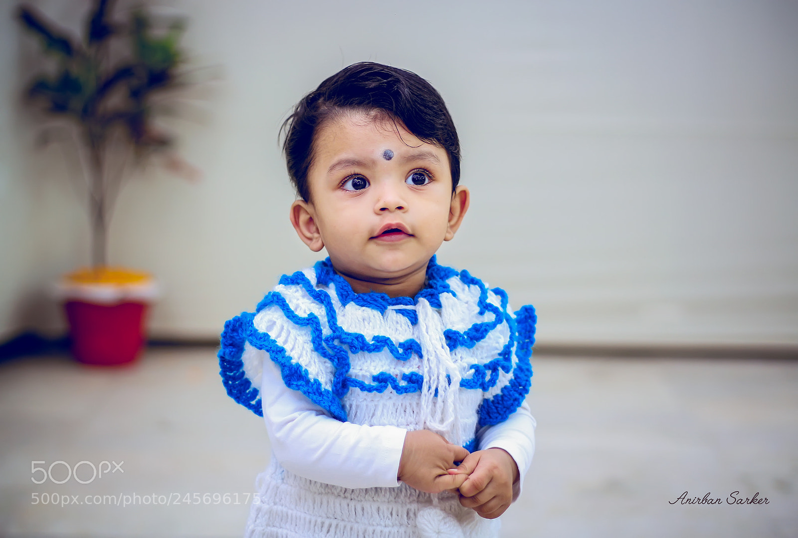 Canon EOS 700D (EOS Rebel T5i / EOS Kiss X7i) sample photo. Photo : anirban sarker photography