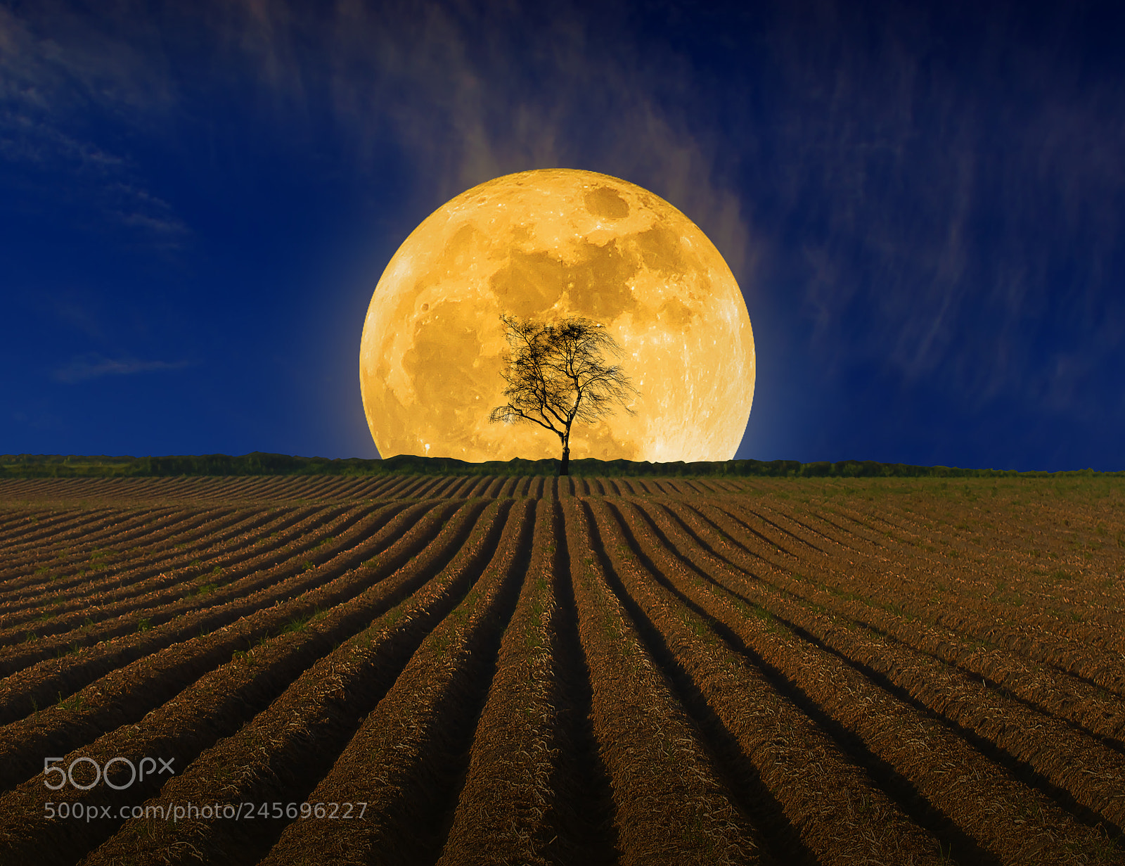 Nikon D3100 sample photo. Rising moon photography