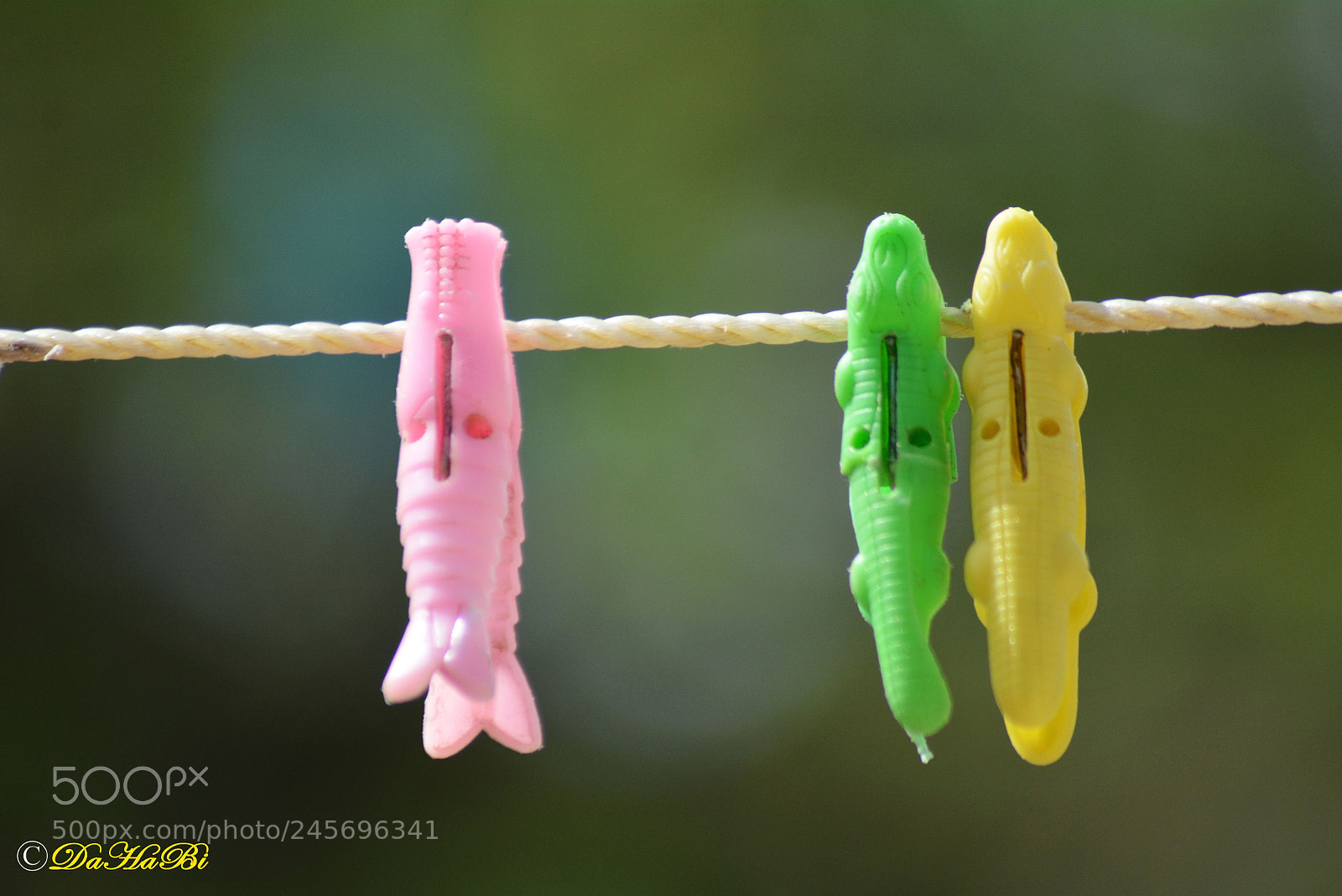 Nikon D7100 sample photo. Couple vs single photography