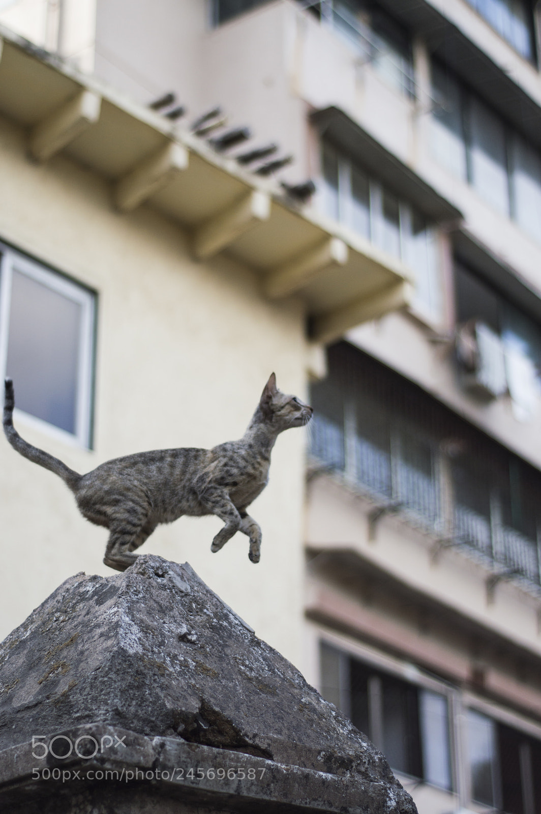 Nikon D3200 sample photo. Aiming for the unknown photography