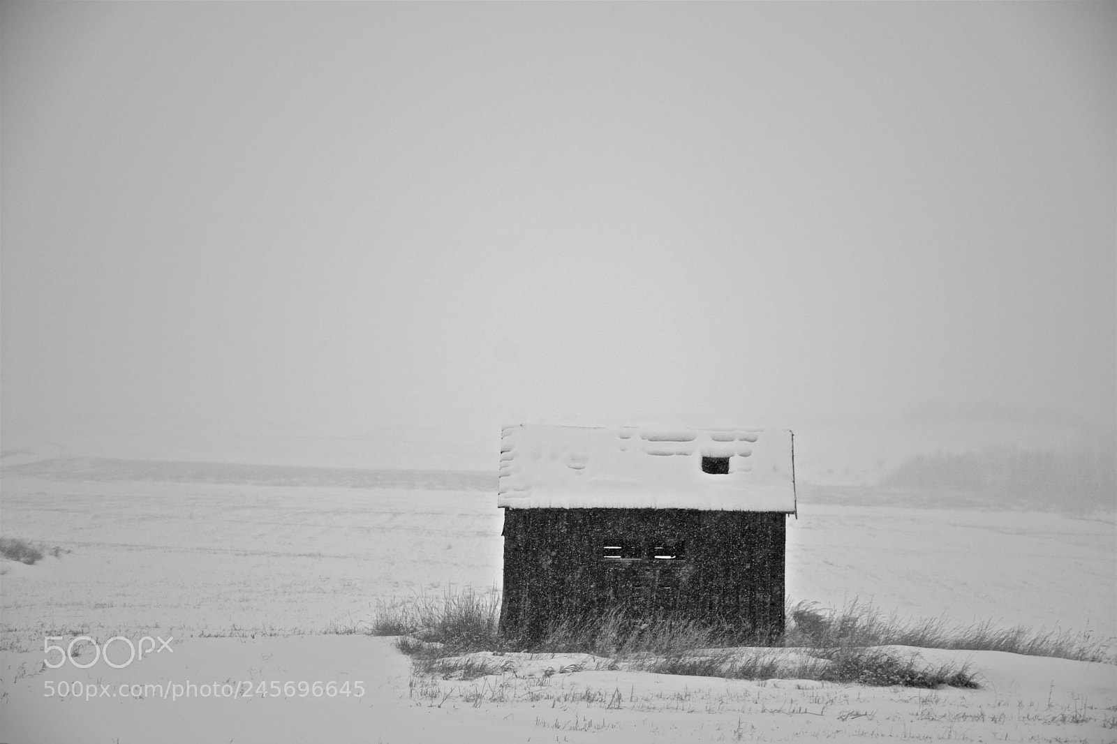 Nikon D7200 sample photo. Like for winter photography