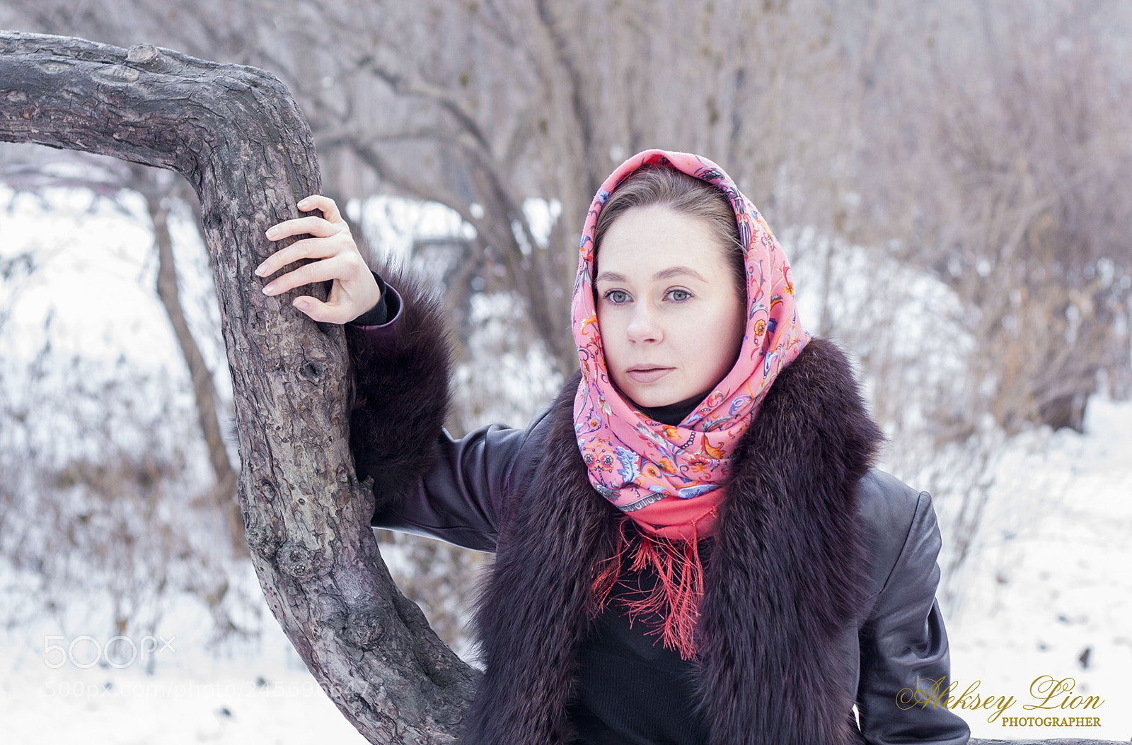 Canon EOS 40D sample photo. () photography
