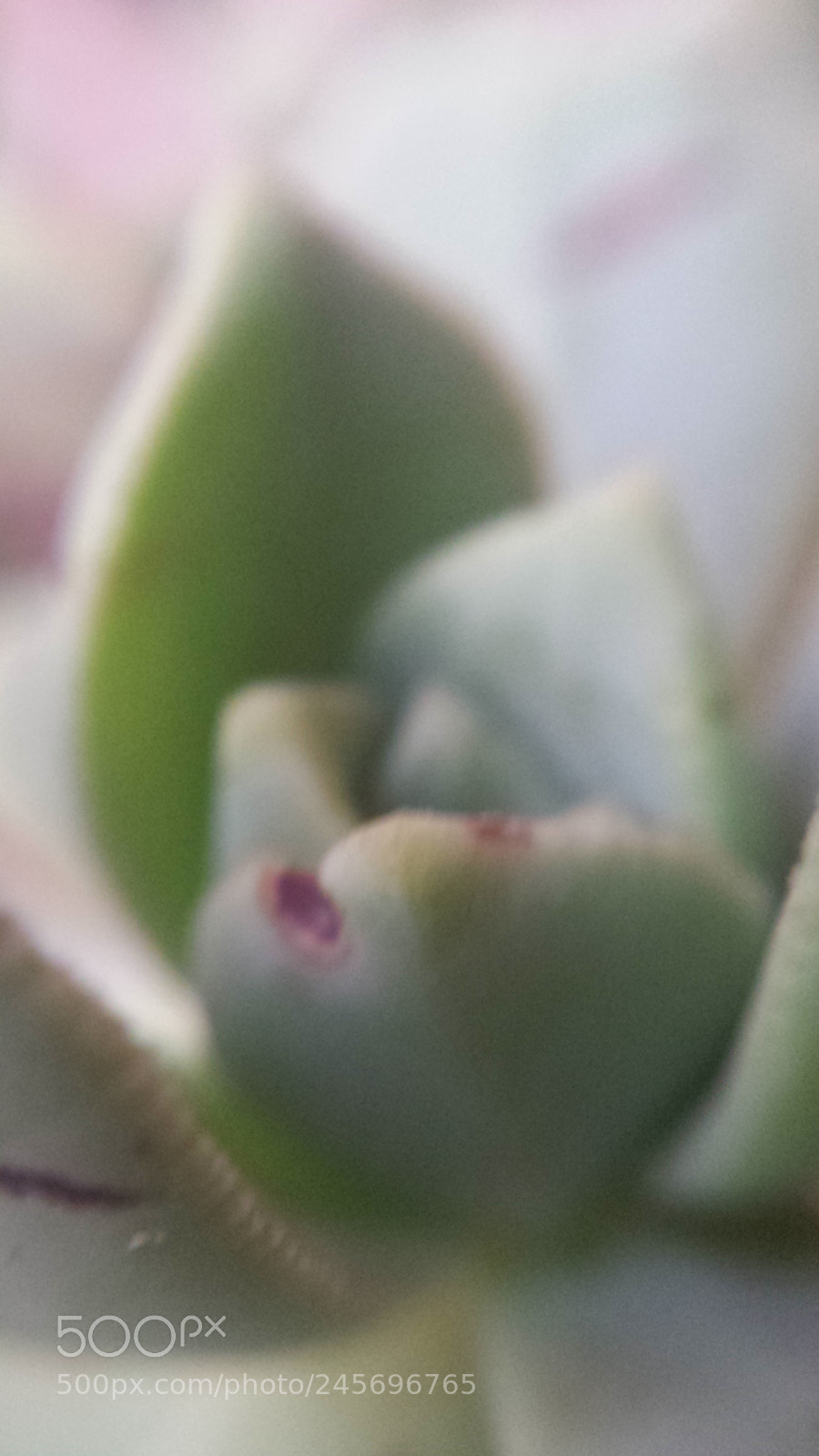 Samsung Galaxy S4 sample photo. Untitled photography
