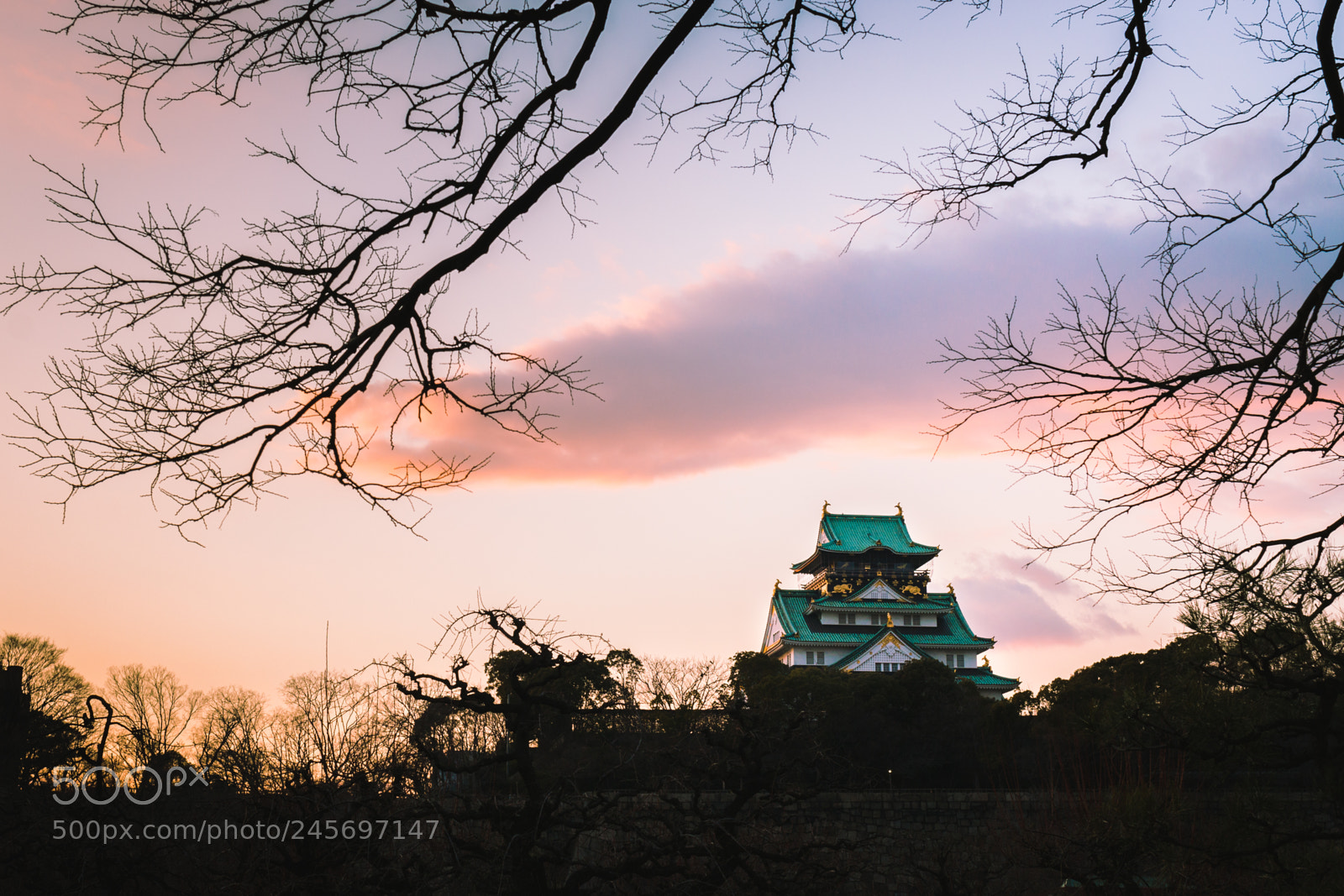 Canon EOS 70D sample photo. Osaka castle sunset photography
