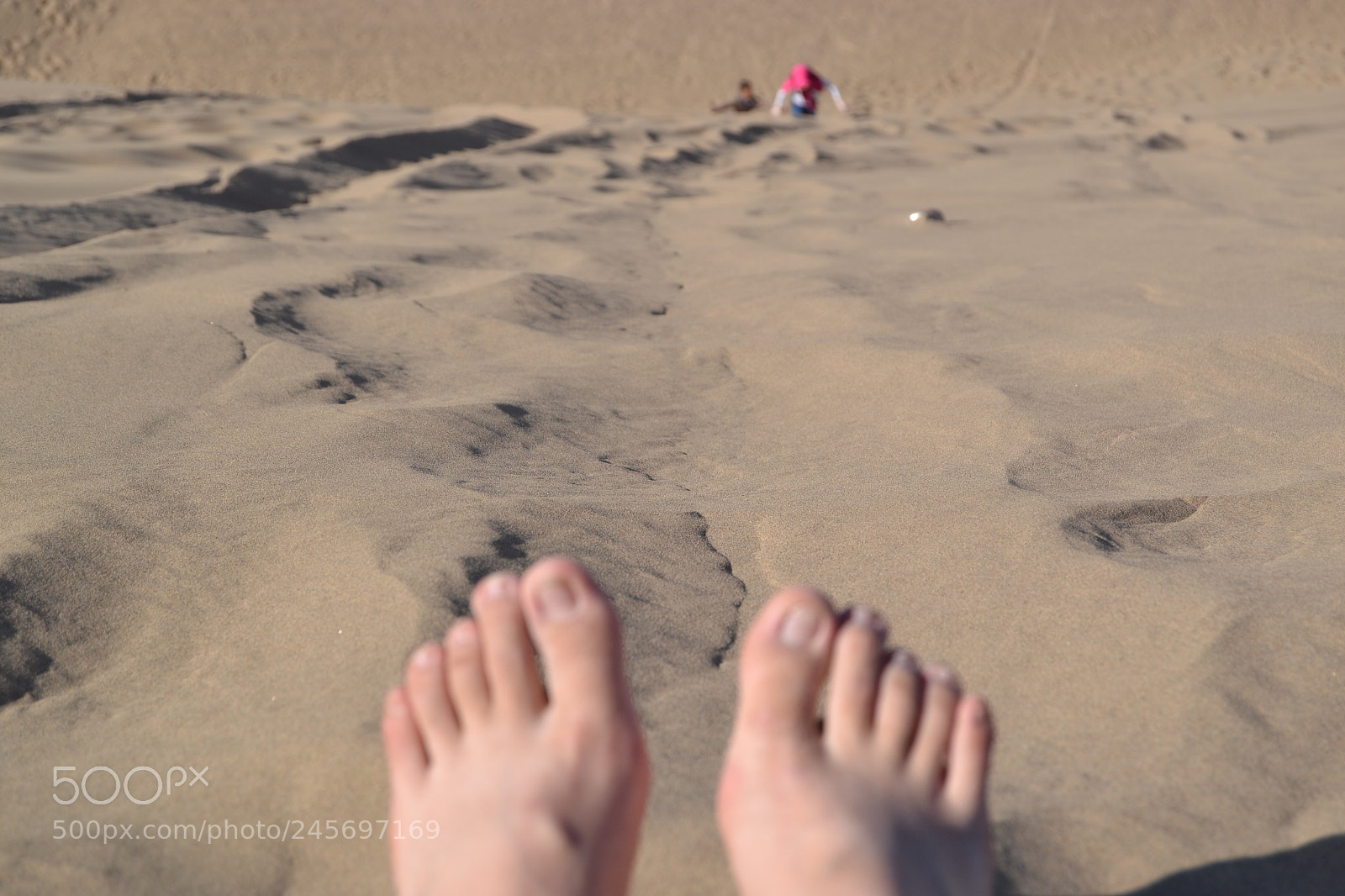 Nikon D3100 sample photo. Lie in the desert photography
