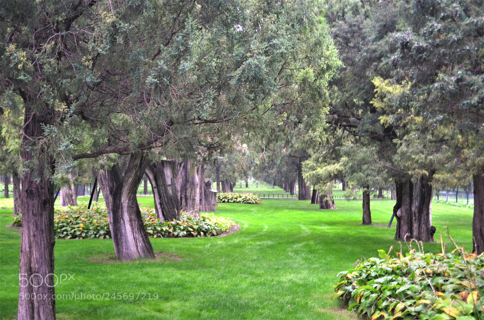 Nikon D5100 sample photo. Untitled photography