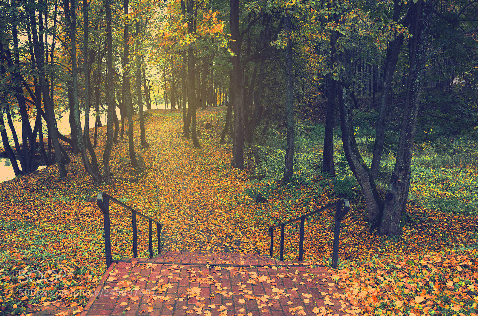 Nikon D5100 sample photo. Autumn scenery photography