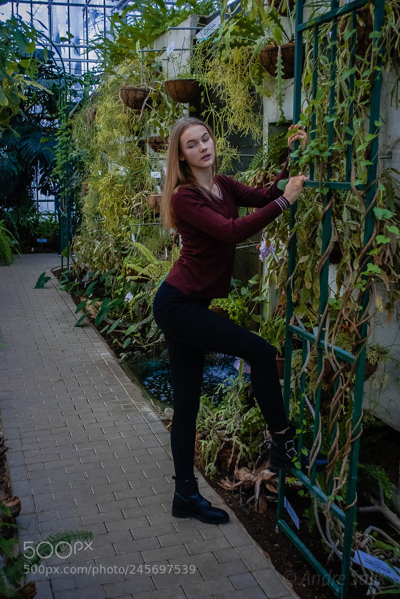 Nikon D60 sample photo. Саласпилс Ботанический сад. photography