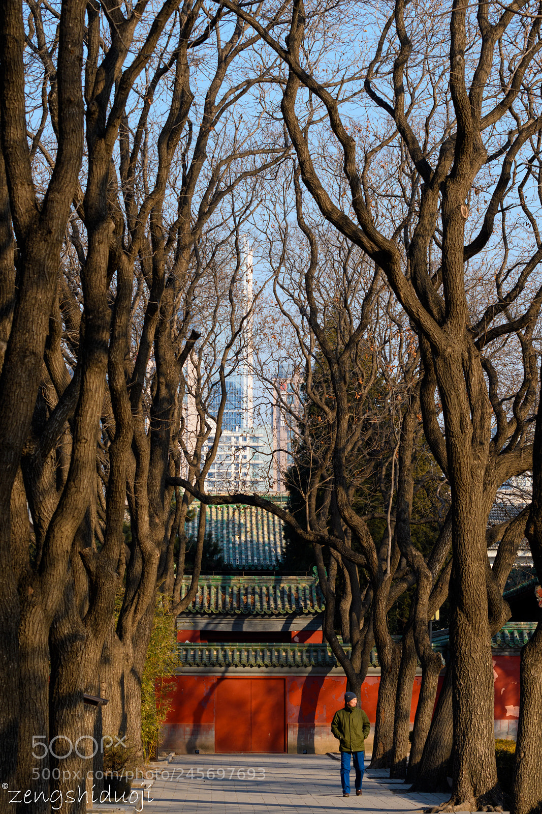 Nikon D500 sample photo. 生存空间 photography
