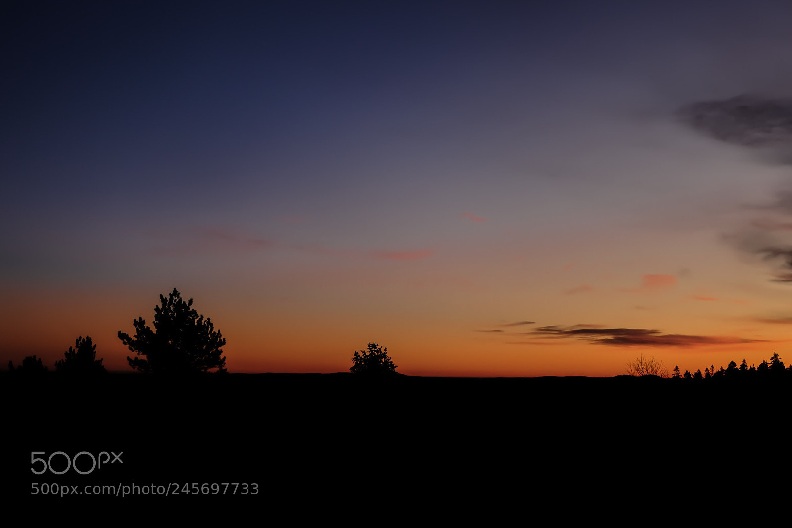 Fujifilm X-T2 sample photo. Orange sky photography