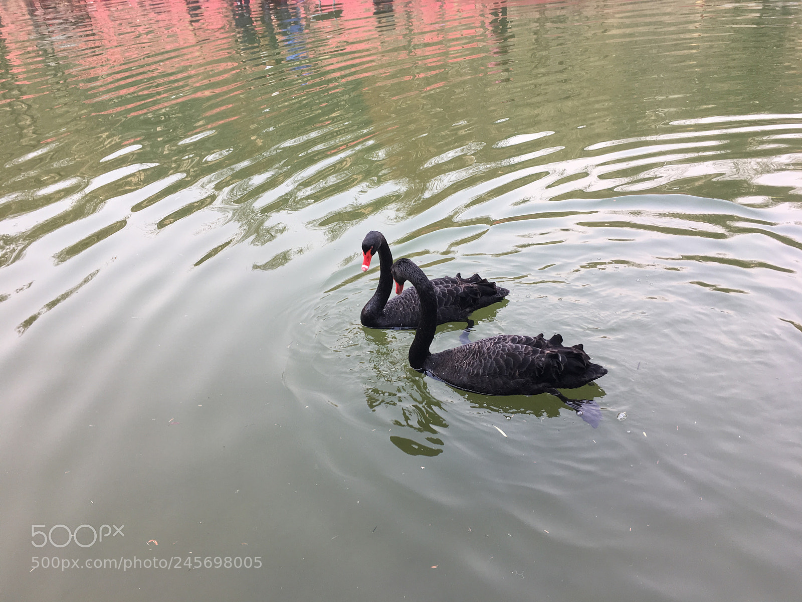 Apple iPhone 6s sample photo. Darks photography
