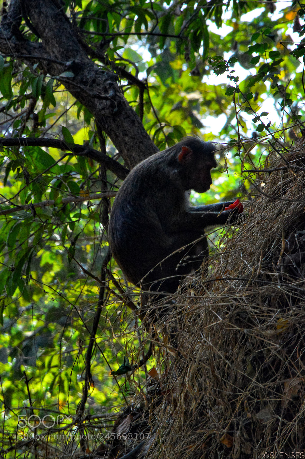 Nikon D3200 sample photo. #castaway photography