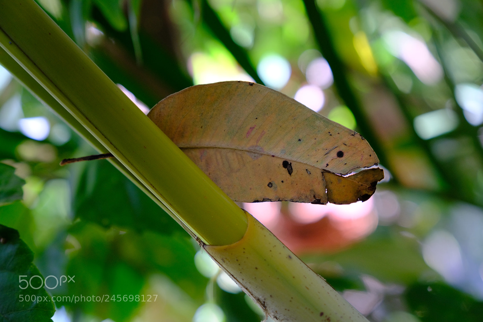 Fujifilm X-Pro2 sample photo. Untitled photography