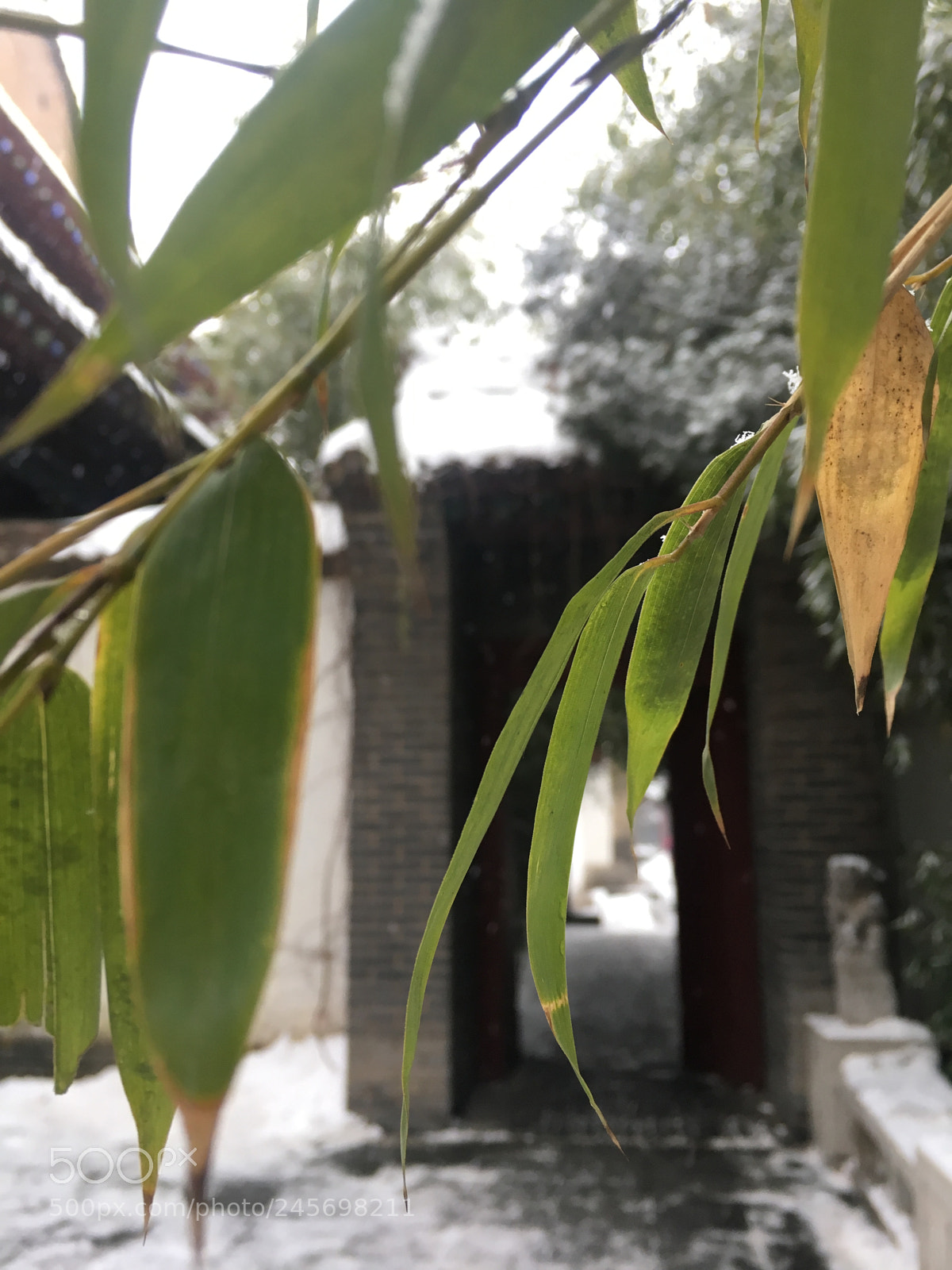 Apple iPhone 6s sample photo. Img photography