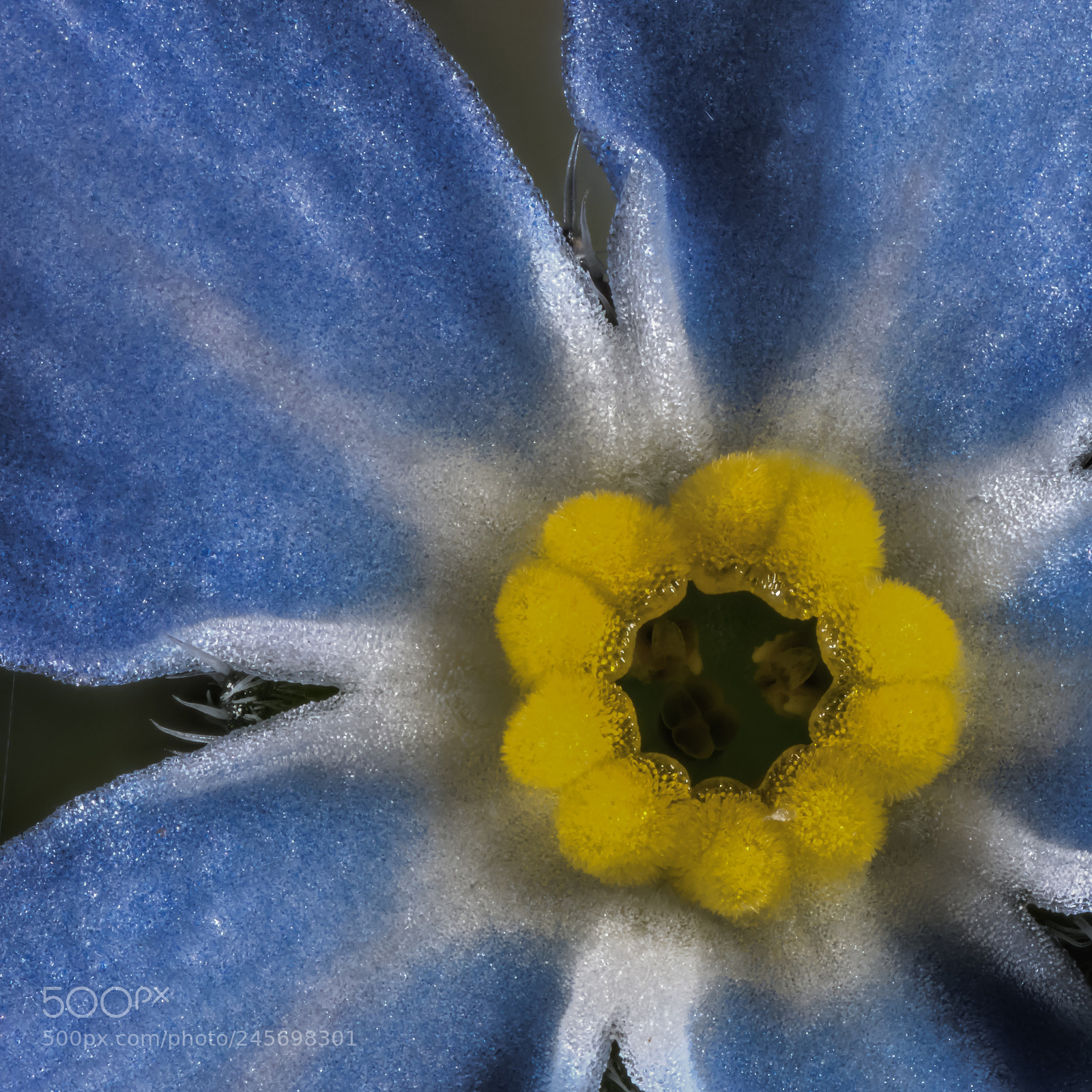 Canon EOS 5DS R sample photo. Untitled photography