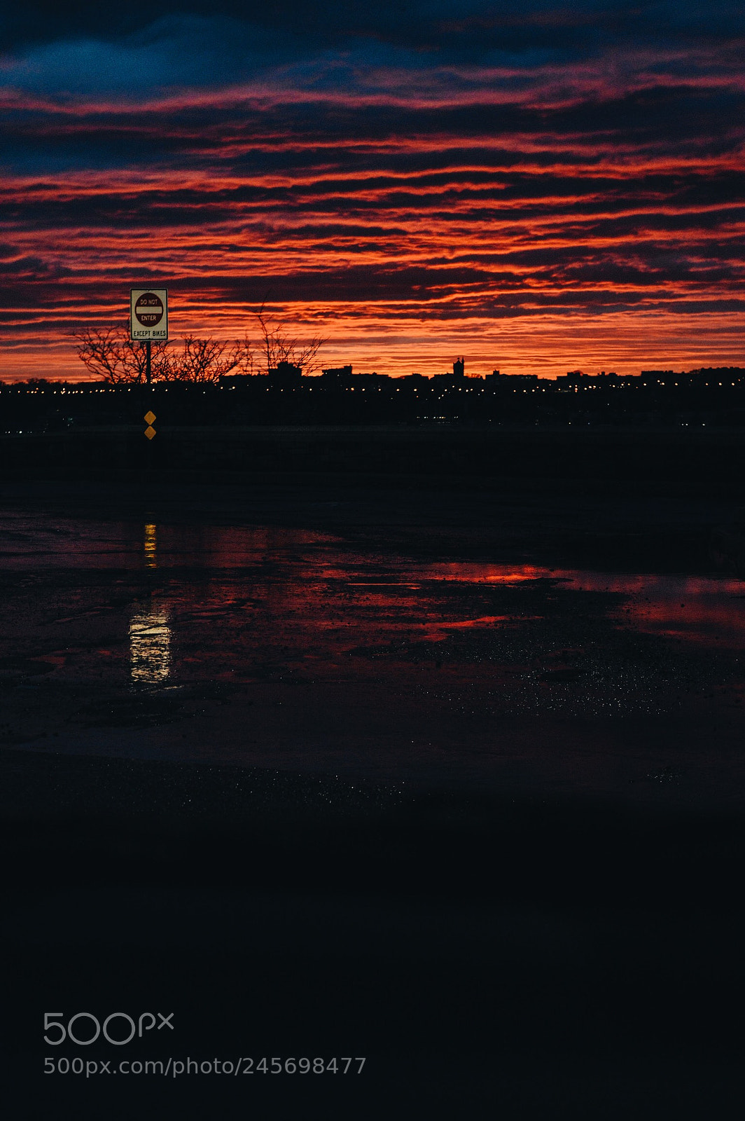 Nikon D3200 sample photo. Red bliss photography