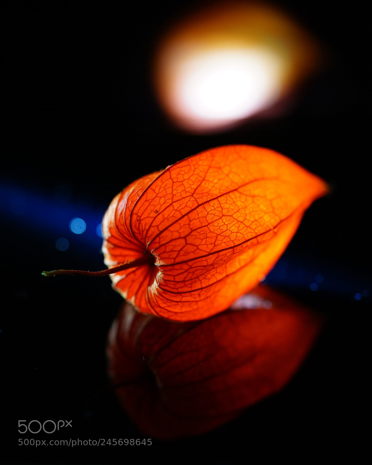 Sony a7 II sample photo. Lichtspiel photography
