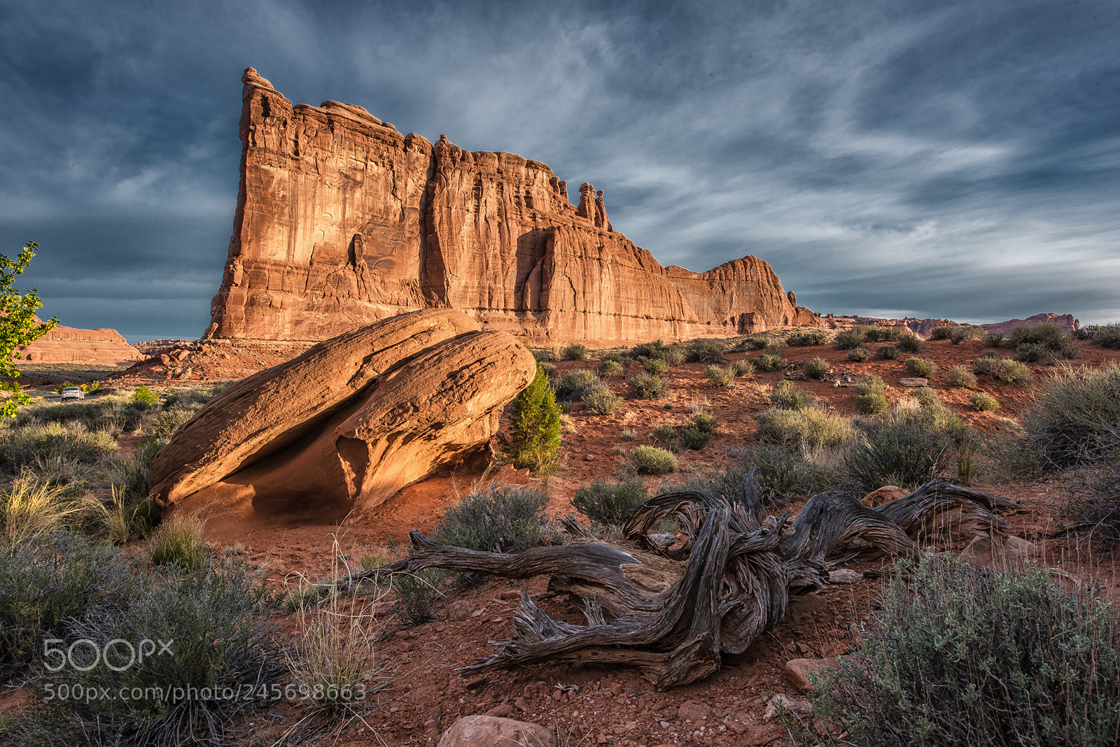 Nikon D810 sample photo. The tower of babel photography