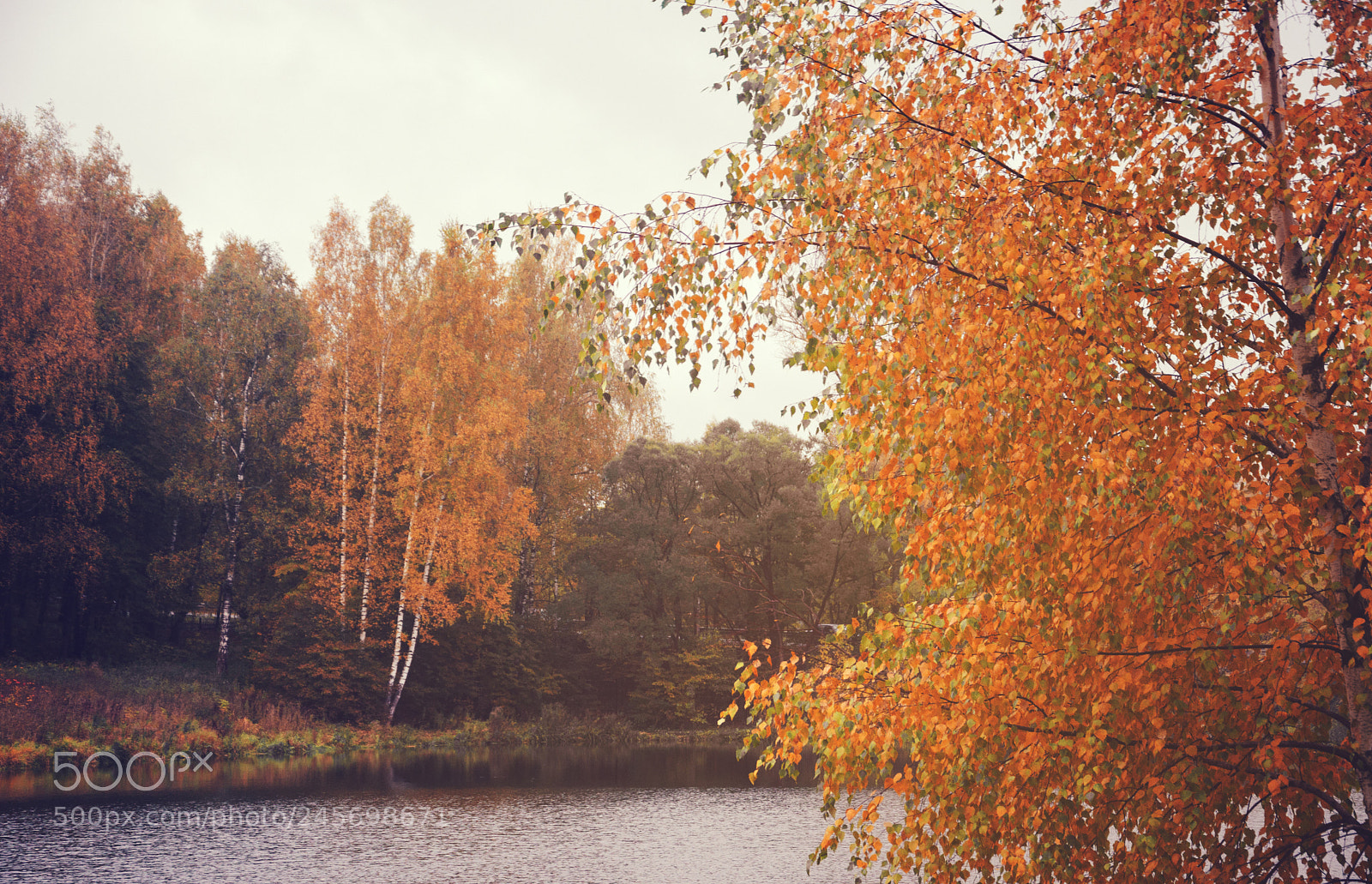 Nikon D5100 sample photo. Autumn scenery photography