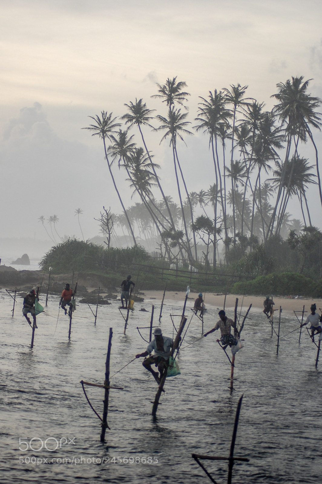 Nikon D40 sample photo. Fishermen on stilts photography