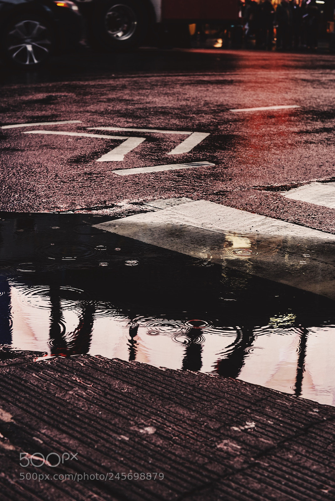 Nikon D810 sample photo. Puddle photography