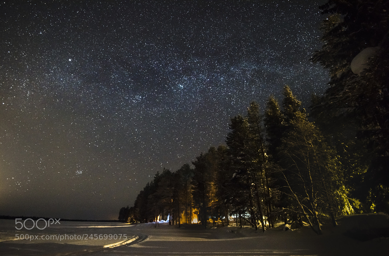Nikon D810 sample photo. Winter milkway photography