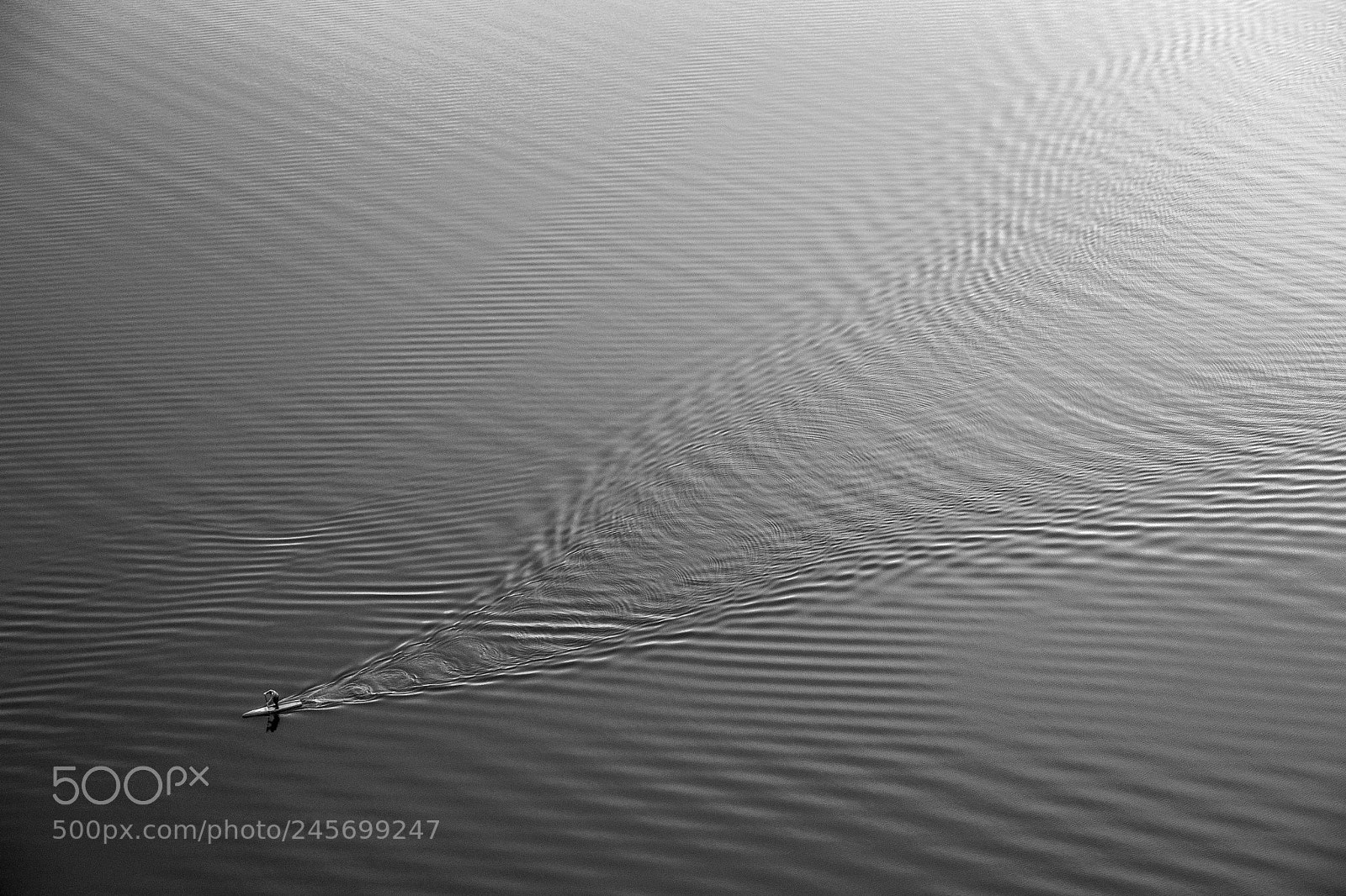 Nikon D3100 sample photo. Keep paddling, young padawan photography