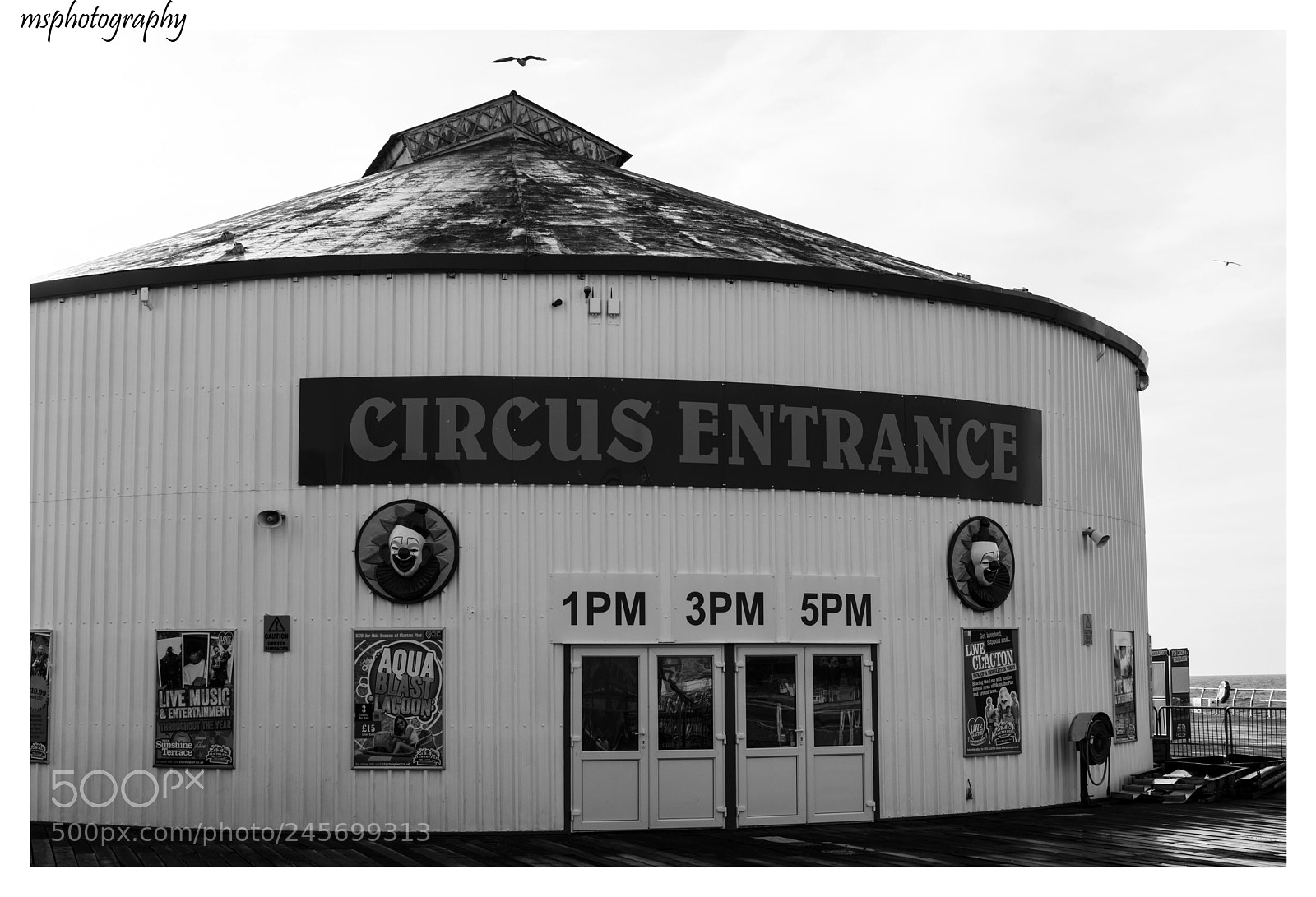 Nikon D5200 sample photo. Pier circus photography