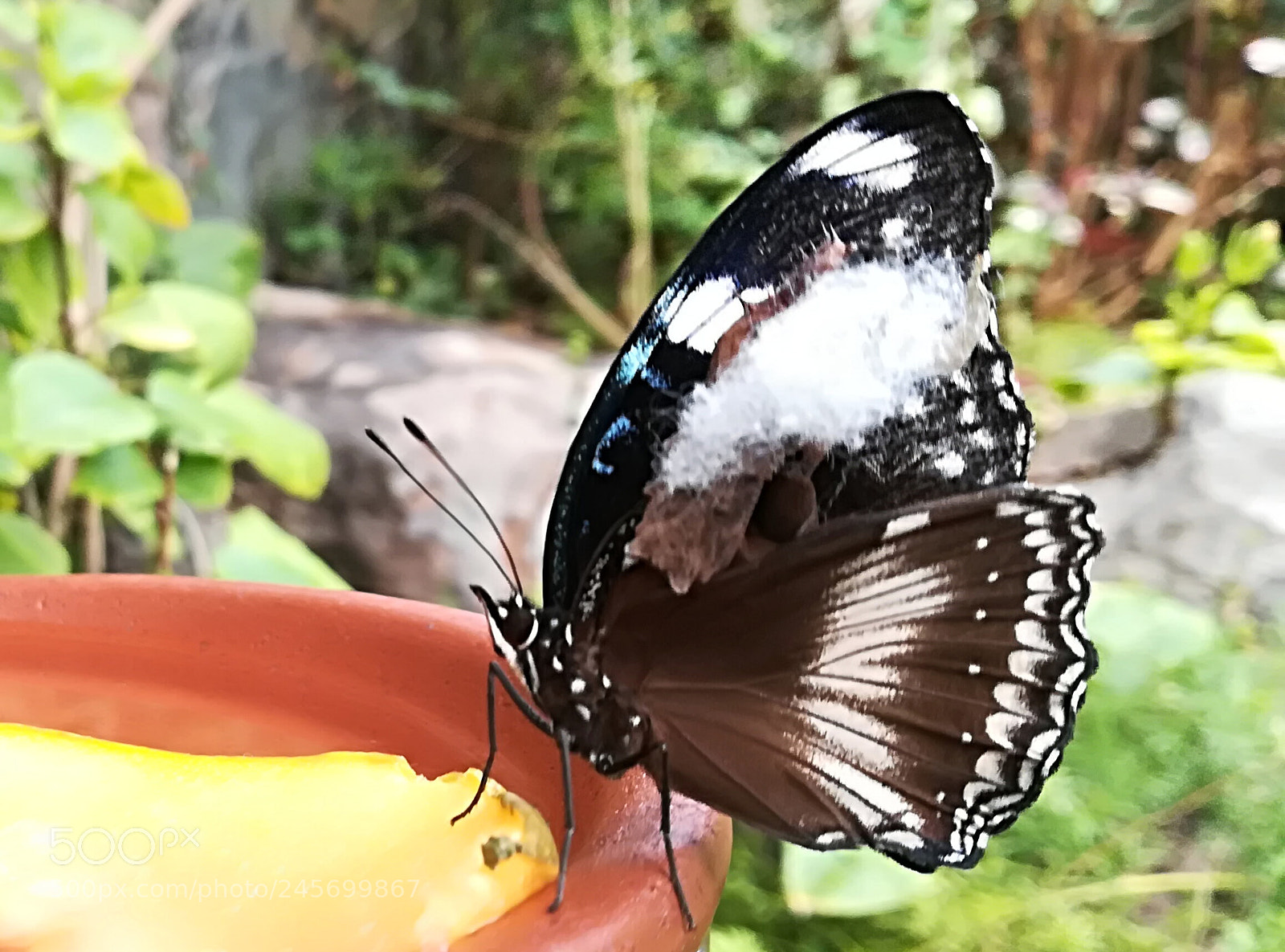 HUAWEI P10 lite sample photo. "lunch-time"... photography