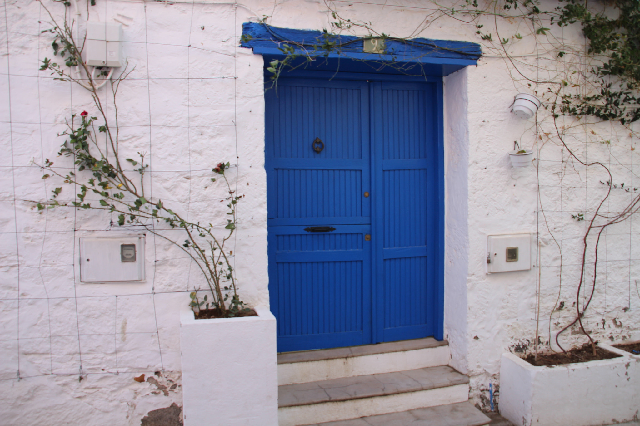 Canon EOS 700D (EOS Rebel T5i / EOS Kiss X7i) + Sigma 18-200mm f/3.5-6.3 DC OS sample photo. The blue door. photography