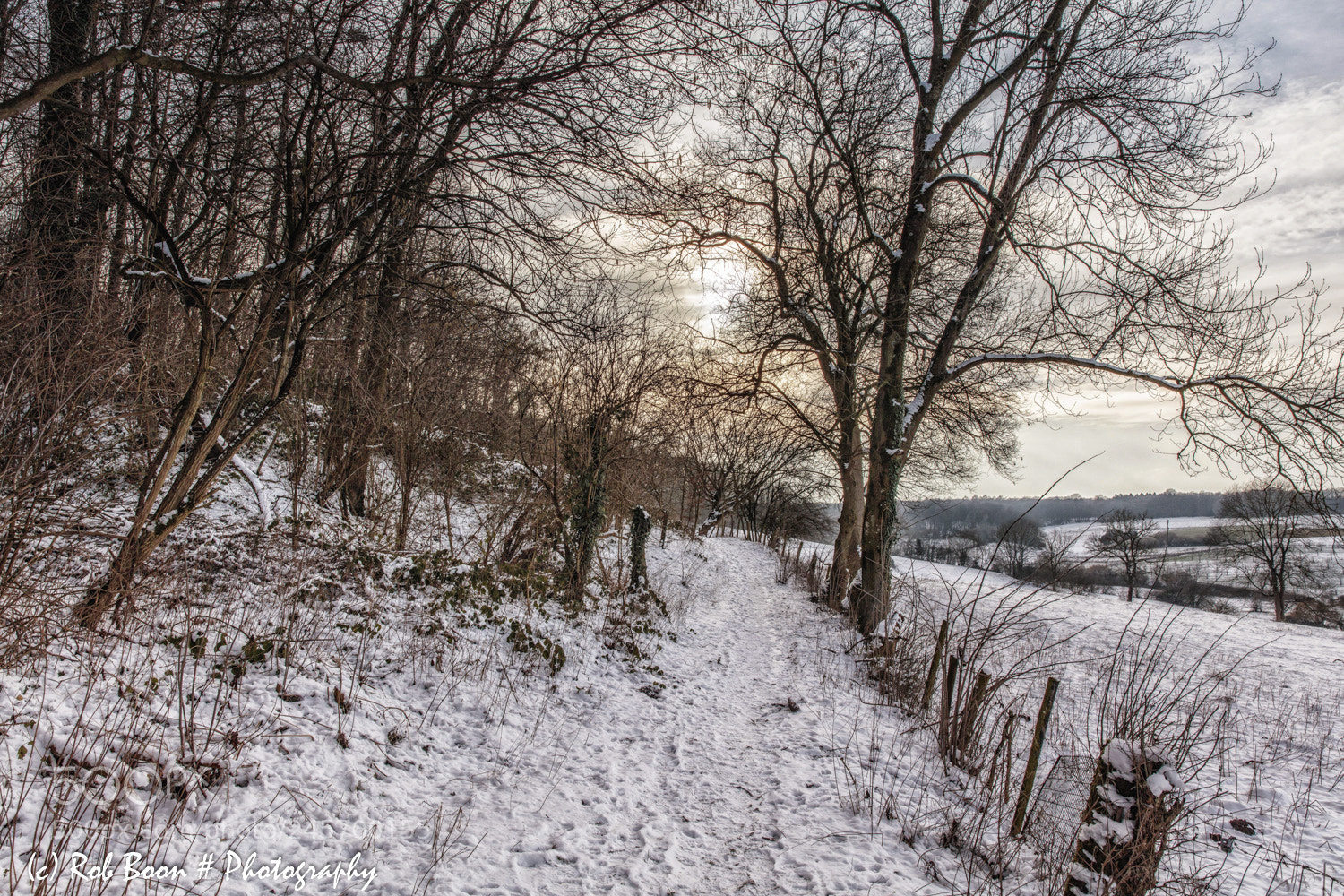 Canon EOS 5DS sample photo. Snow @ vijlenerbos photography