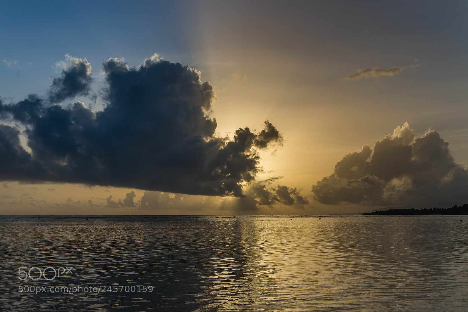 Nikon D610 sample photo. Two tone sunrise photography