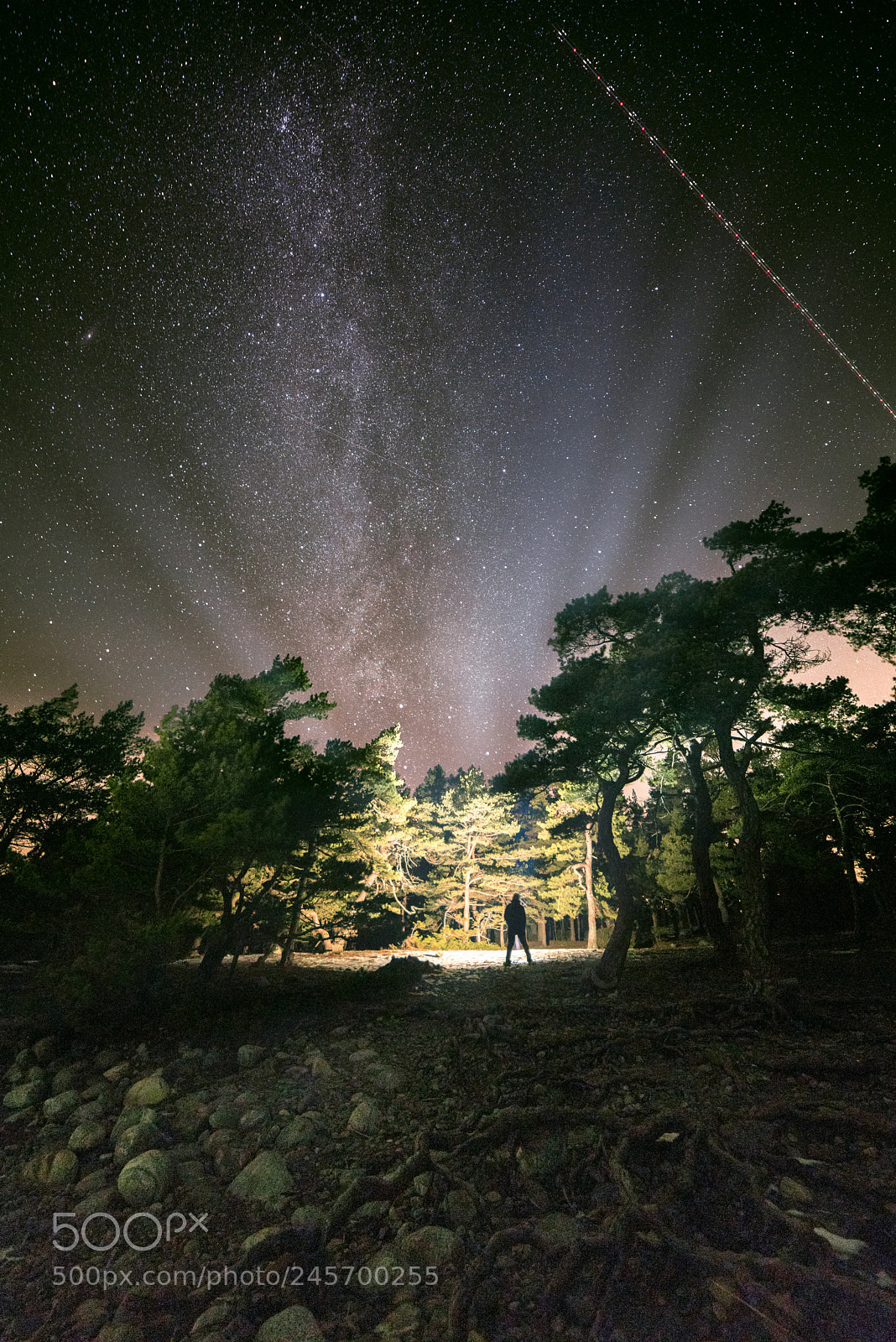 Nikon D810 sample photo. The truth is out photography