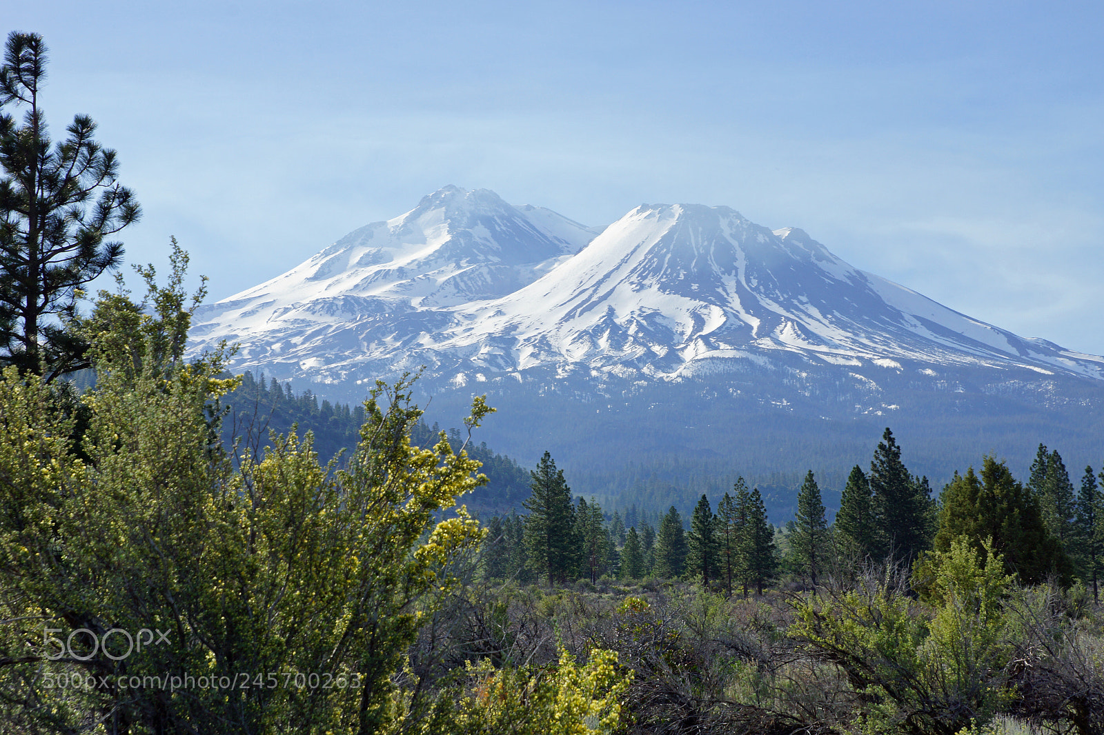 Sony SLT-A65 (SLT-A65V) sample photo. Mount shasta. california. usa photography