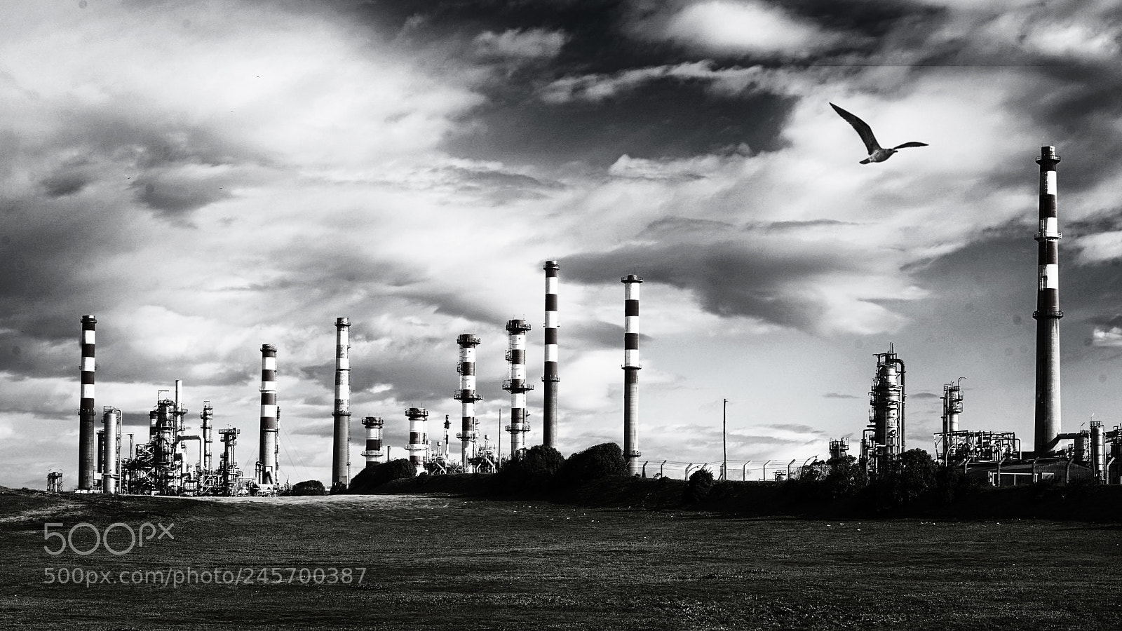 Sony a7 II sample photo. Hydrocarbons photography