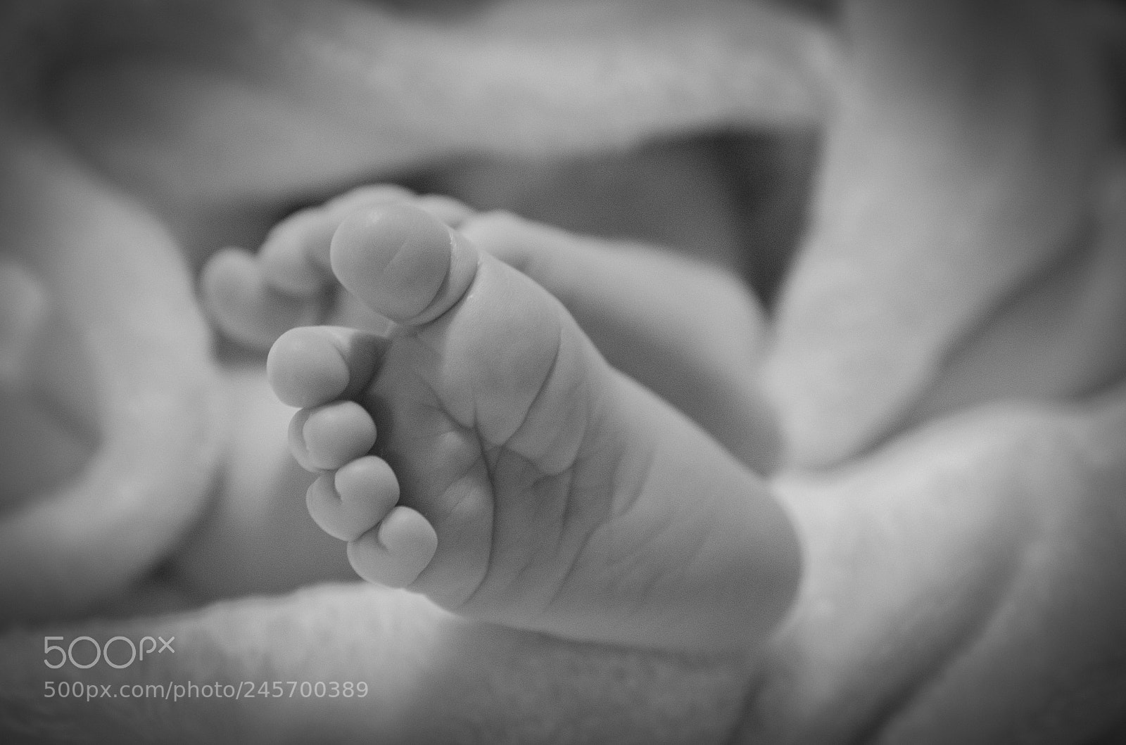 Nikon D5100 sample photo. Untitled photography