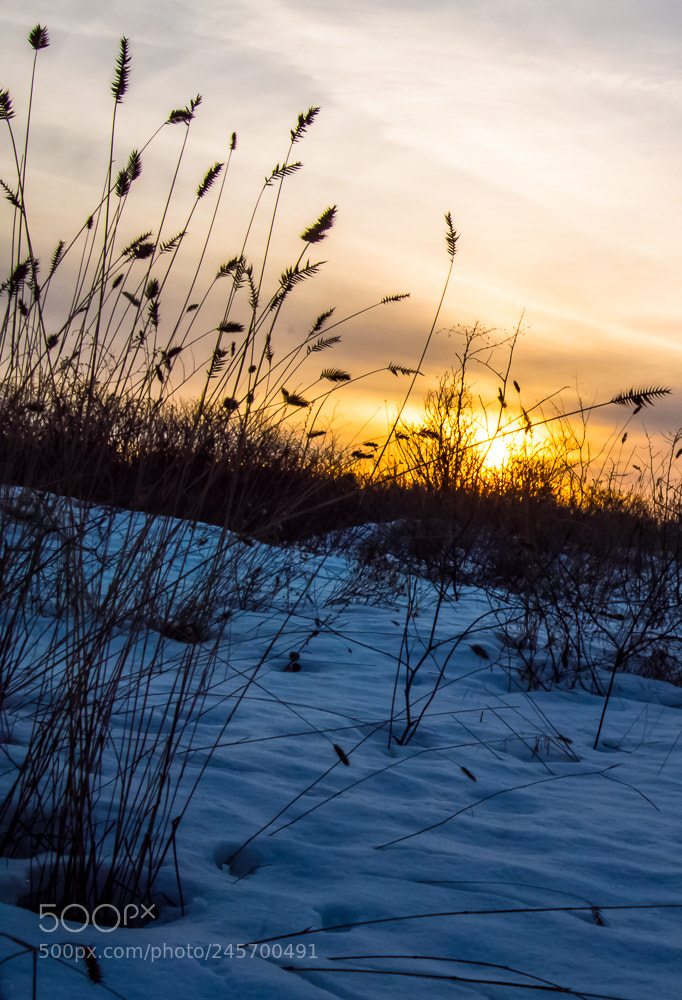 Nikon D3200 sample photo. КОНВЕРТ () photography