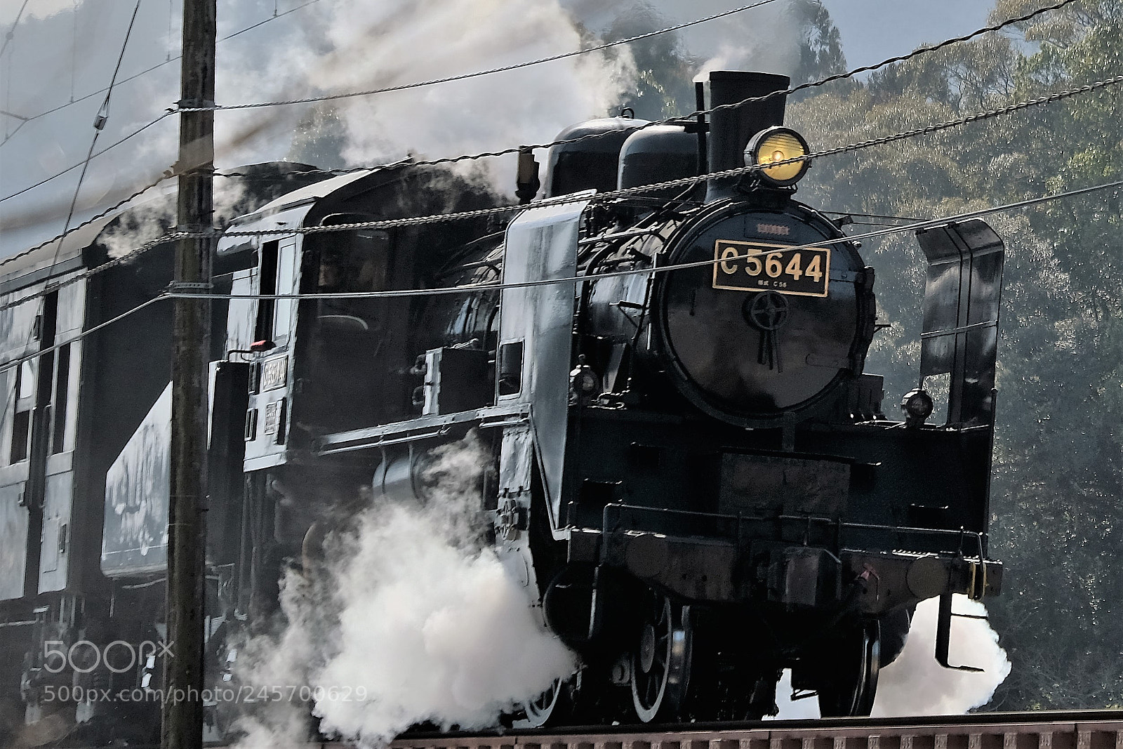 Fujifilm X-T2 sample photo. Steam locomotive "ooigawa railway" photography