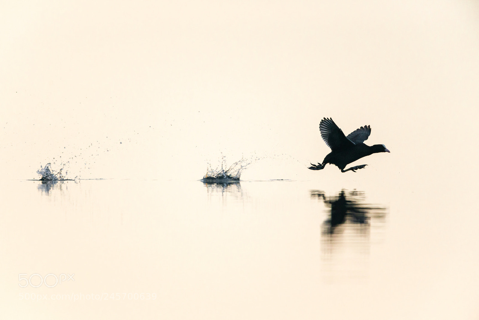 Nikon D800 sample photo. Departure photography