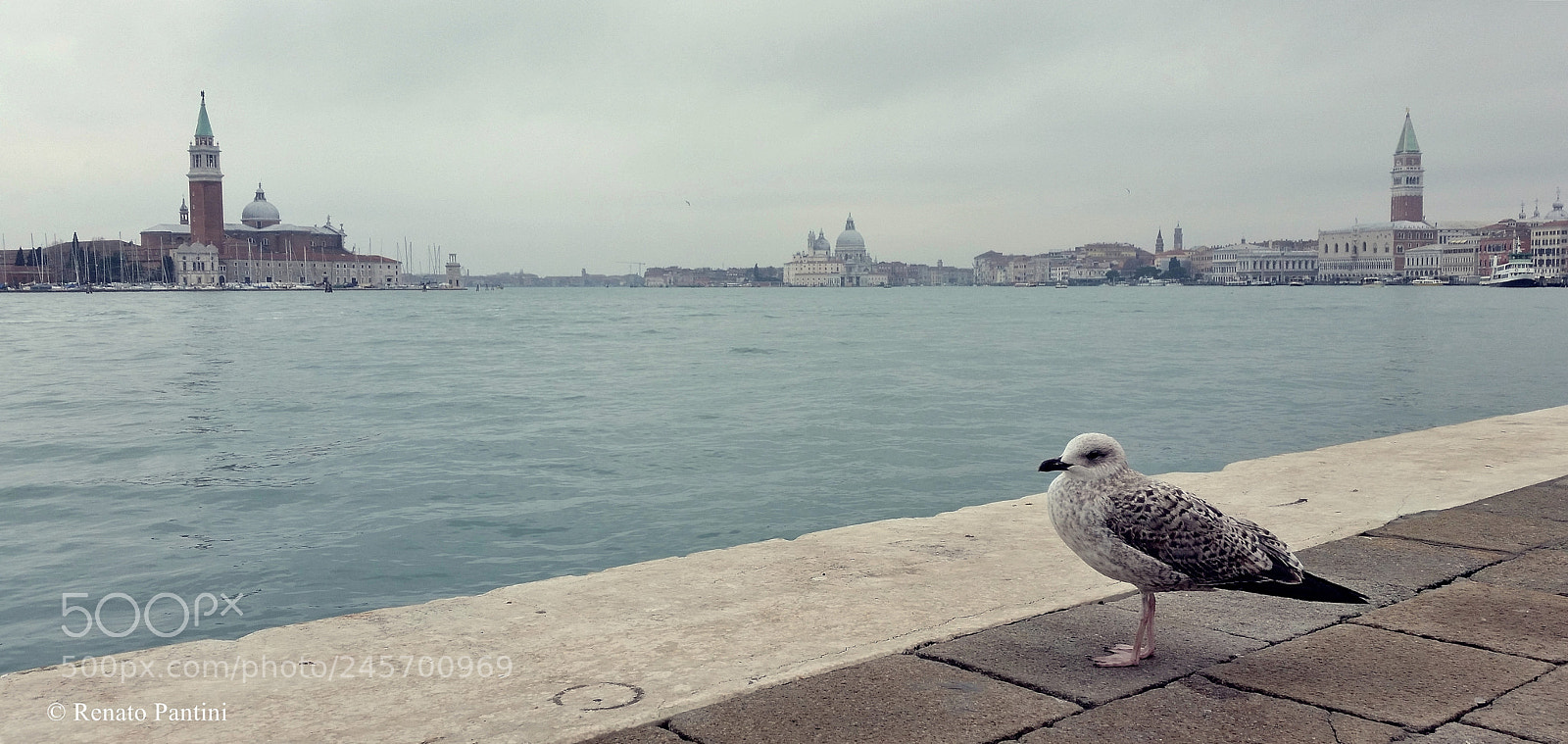 Samsung Galaxy S5 sample photo. Strange tourist in venice! photography