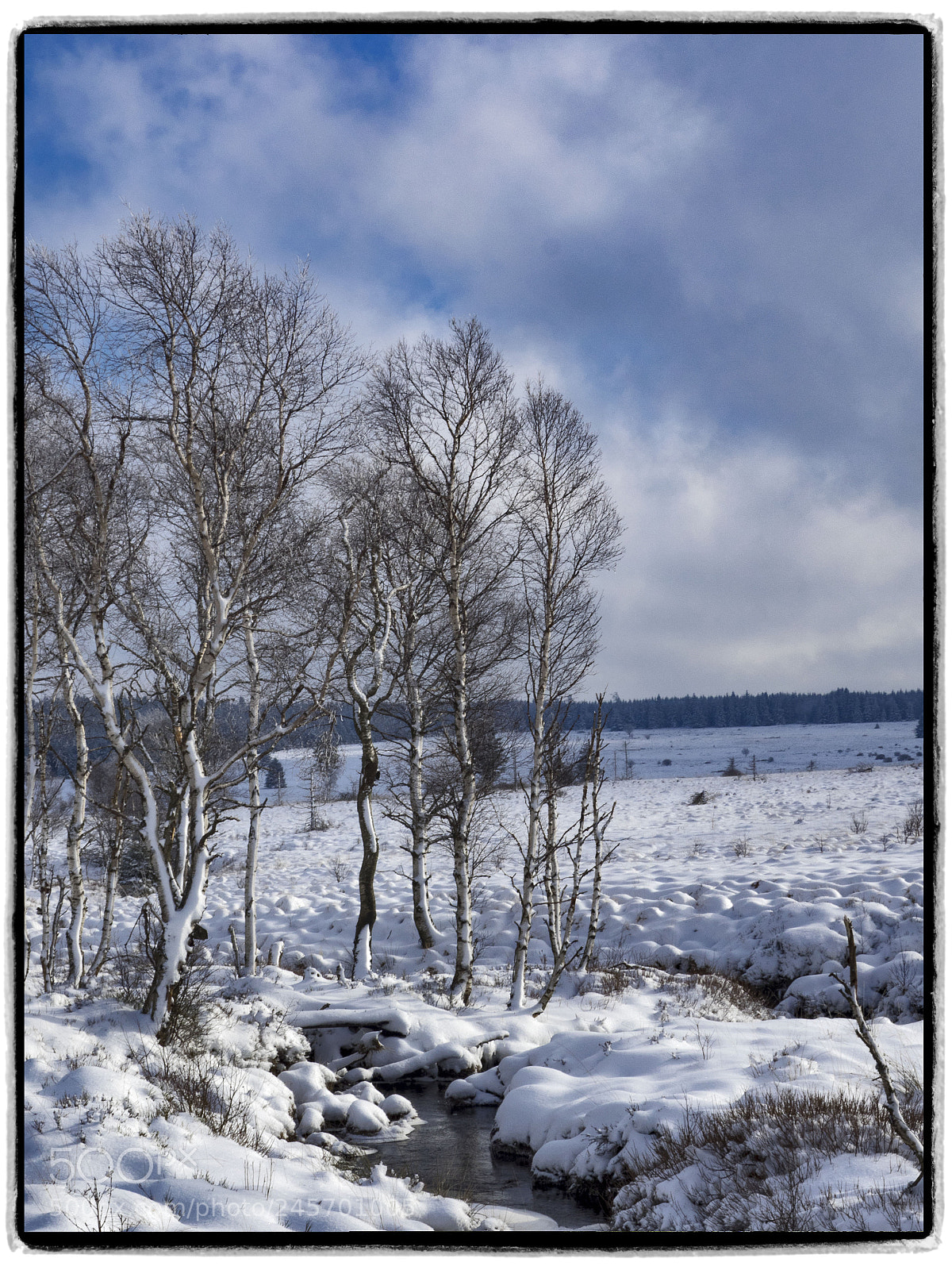 Olympus OM-D E-M1 sample photo. River helle north from photography