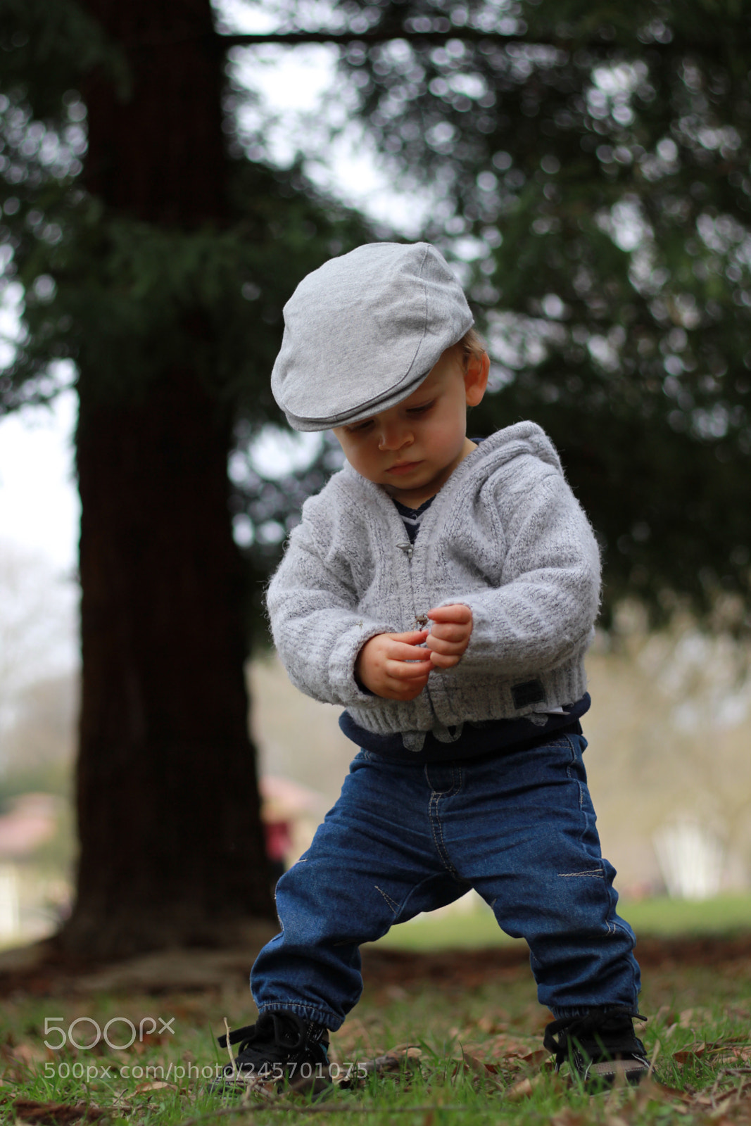 Canon EOS 60D sample photo. Untitled photography