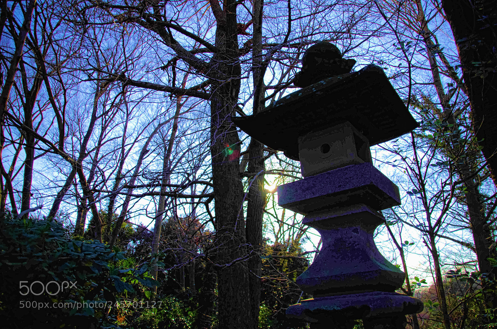 Pentax K-5 sample photo. Sunday afternoon... photography